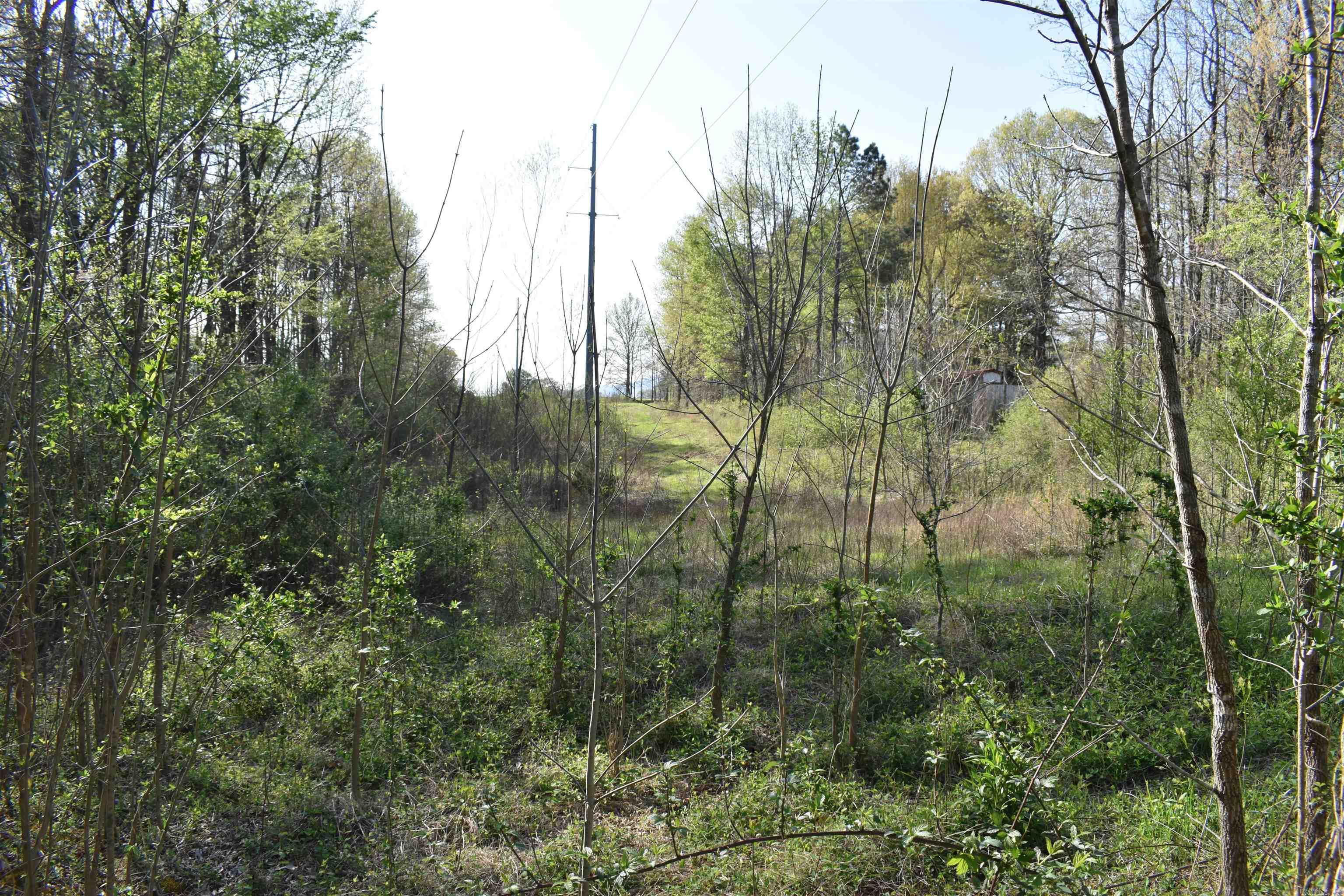 0000 Wilson Road Property Photo 37
