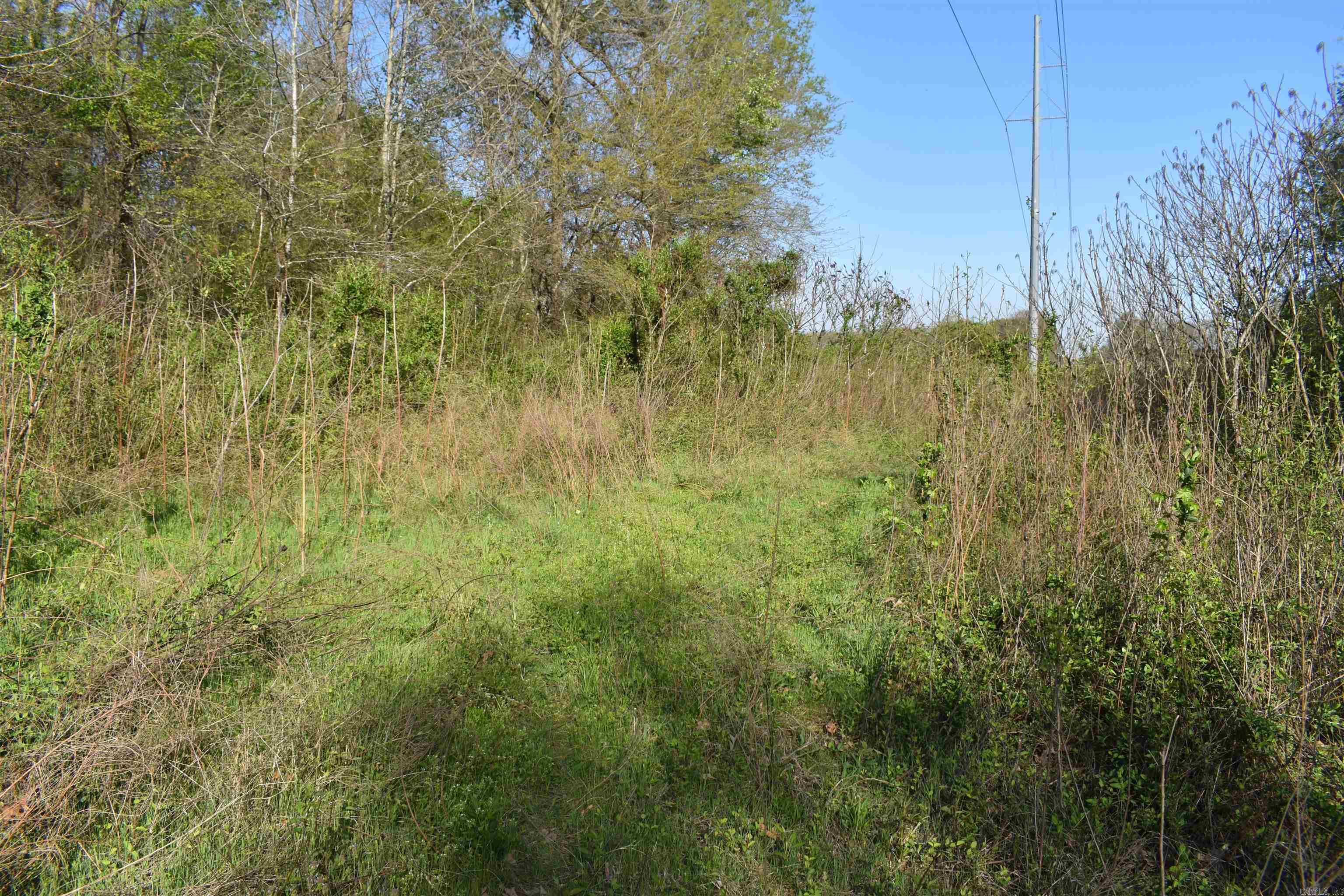 0000 Wilson Road Property Photo 38
