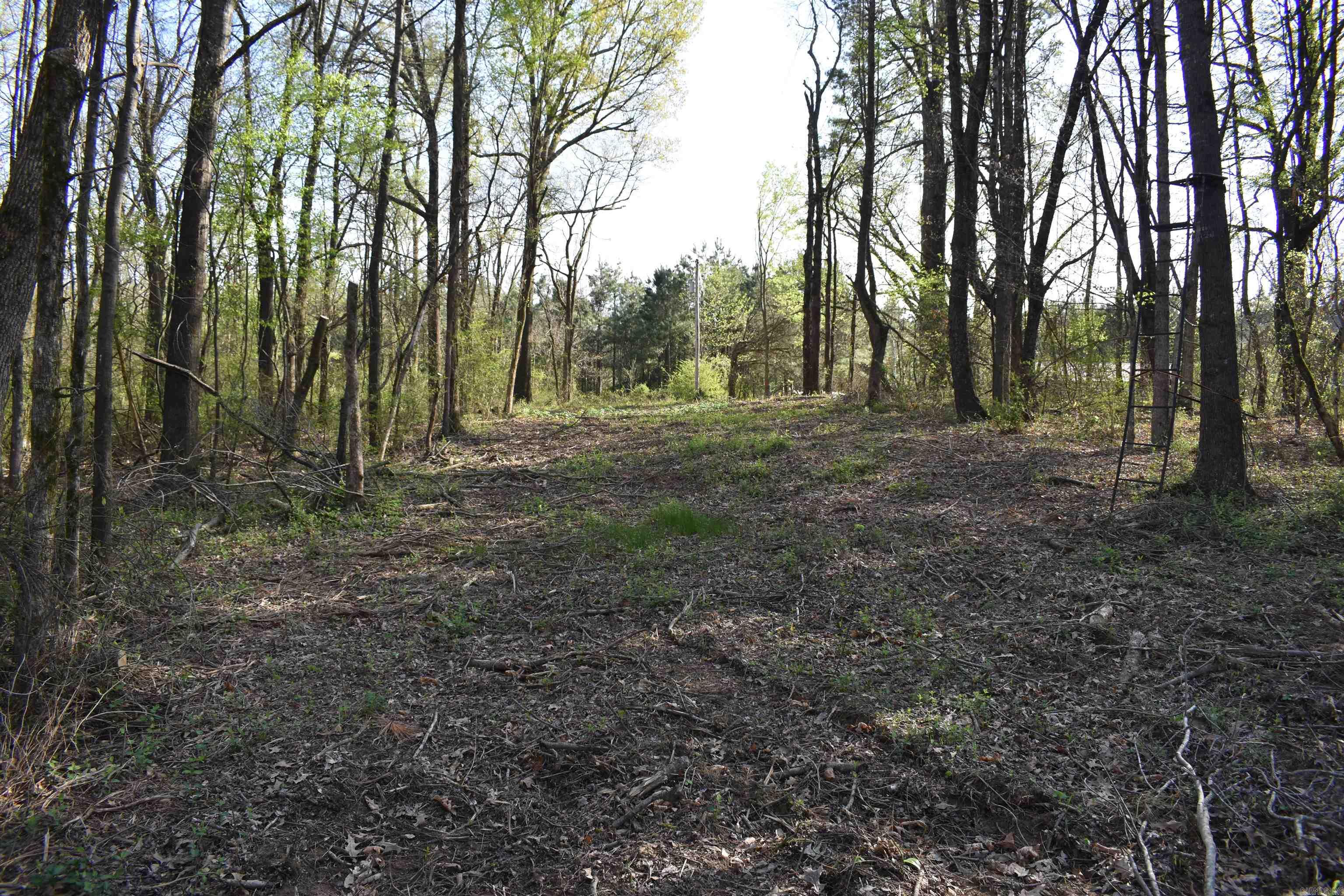0000 Wilson Road Property Photo 40