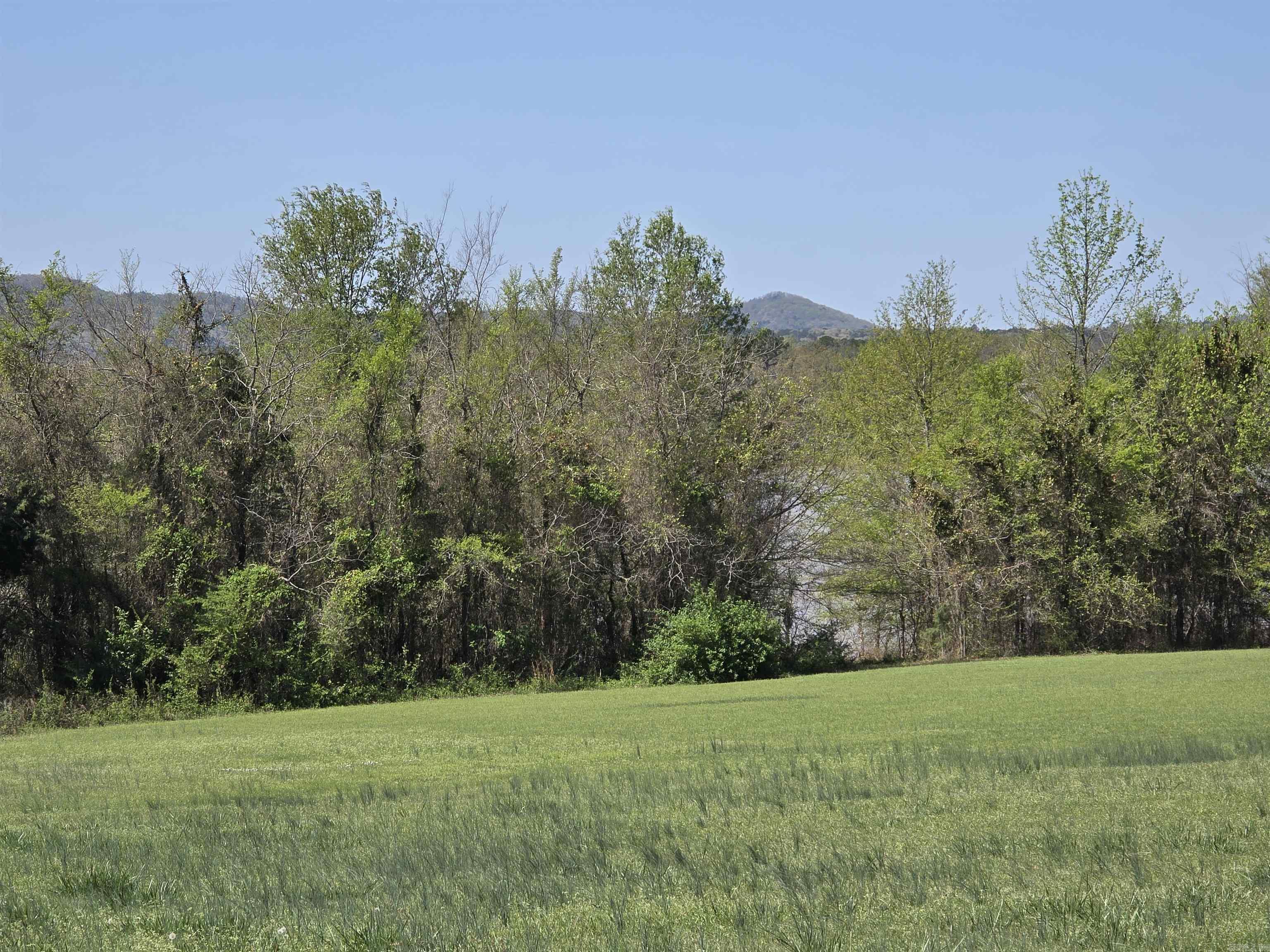 100 Emerald Lane Property Photo 4