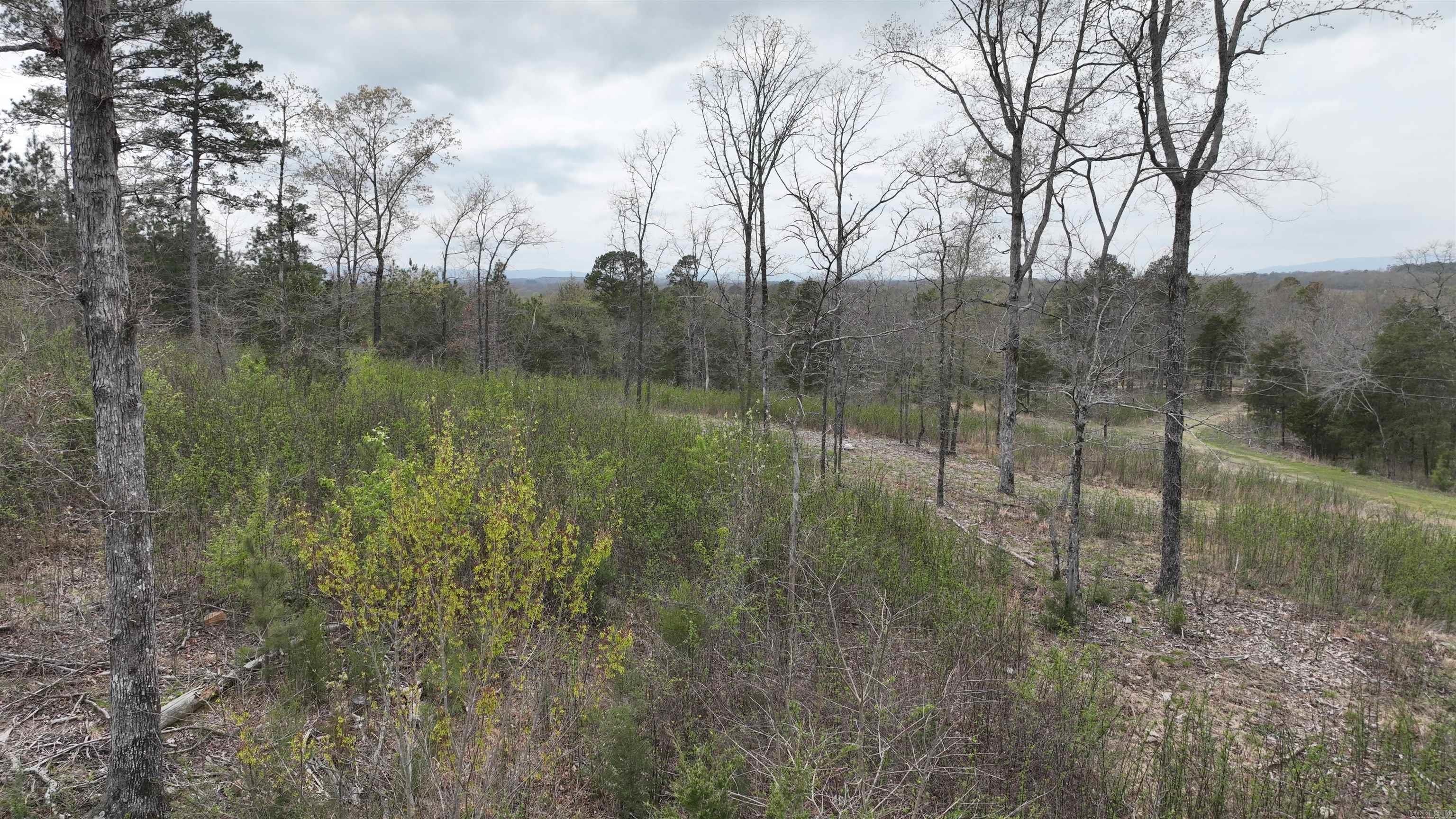 152 Polk Road 685 Property Photo 17