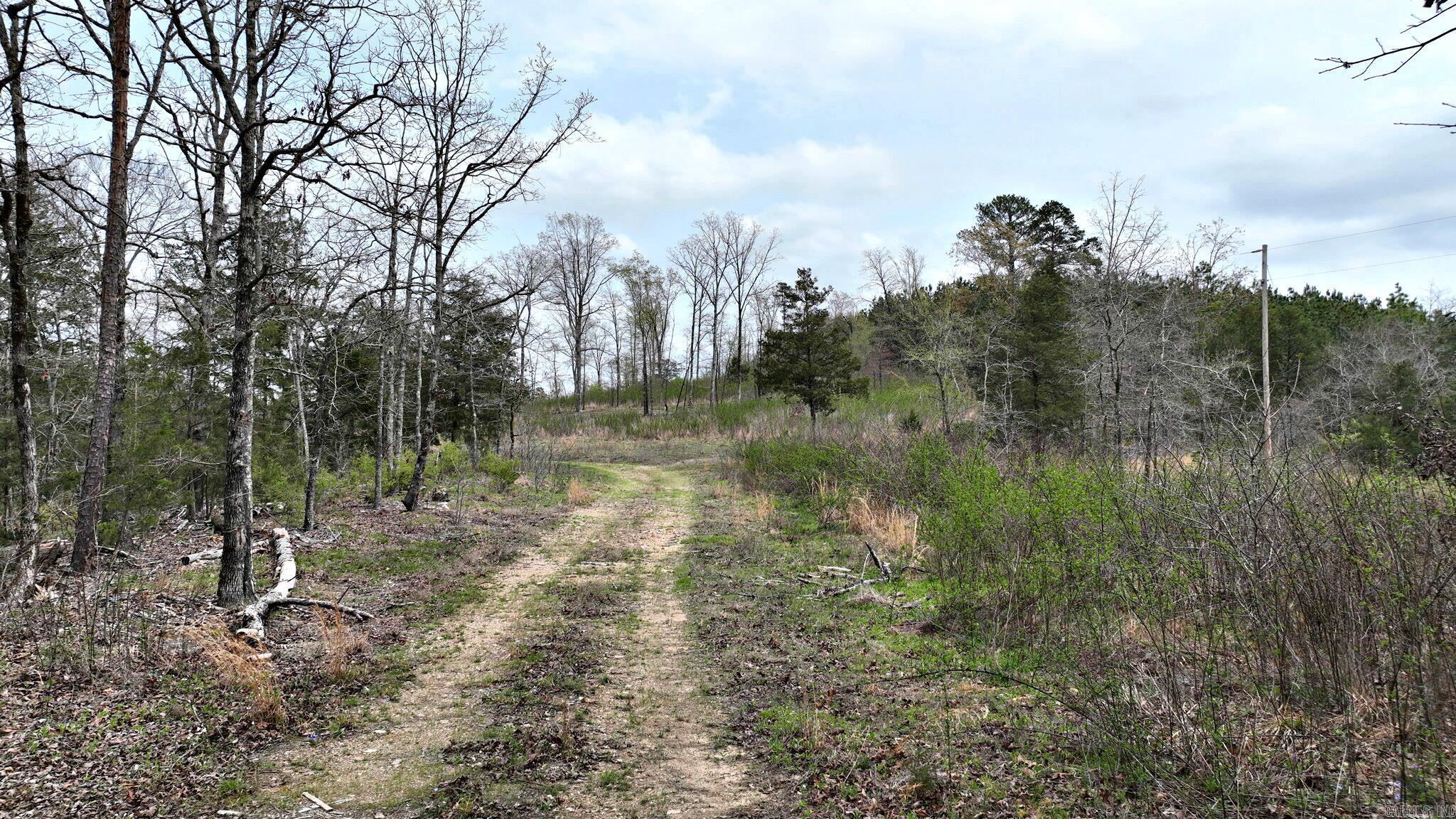 152 Polk Road 685 Property Photo 19