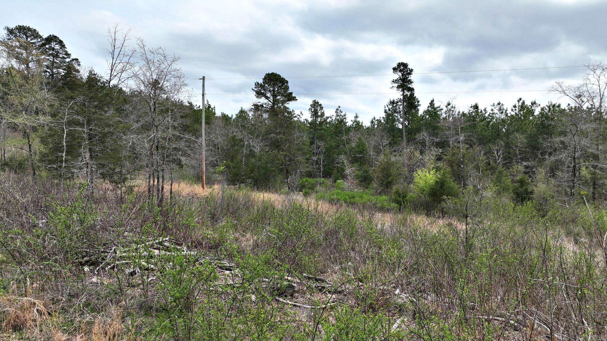 152 Polk Road 685 Property Photo 20