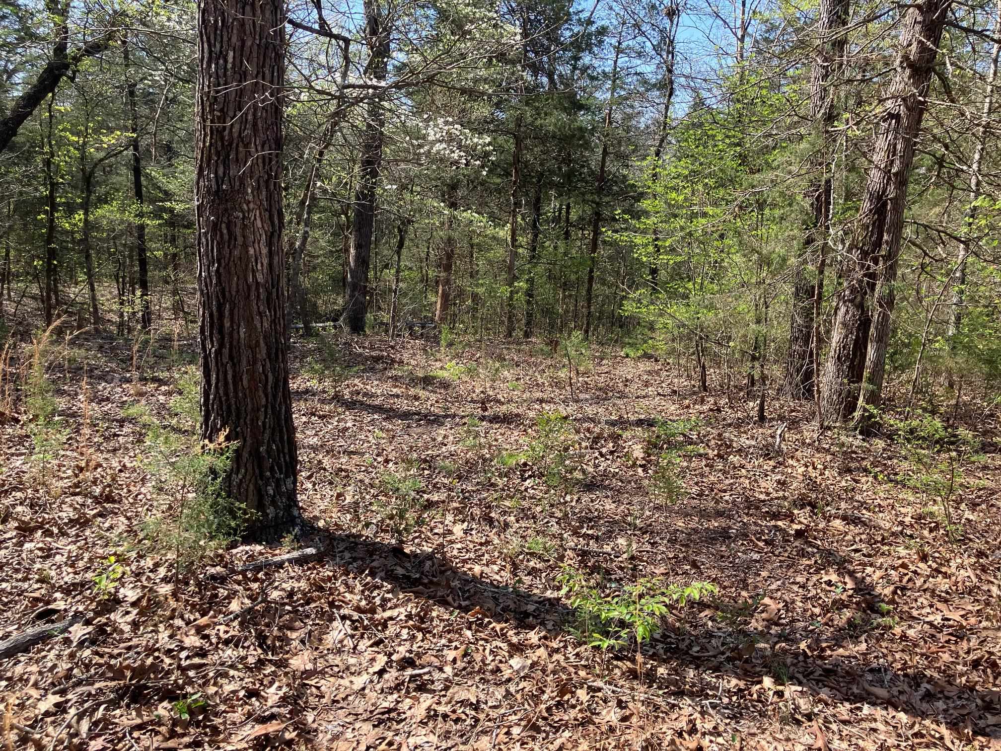 S River Road Property Photo 1