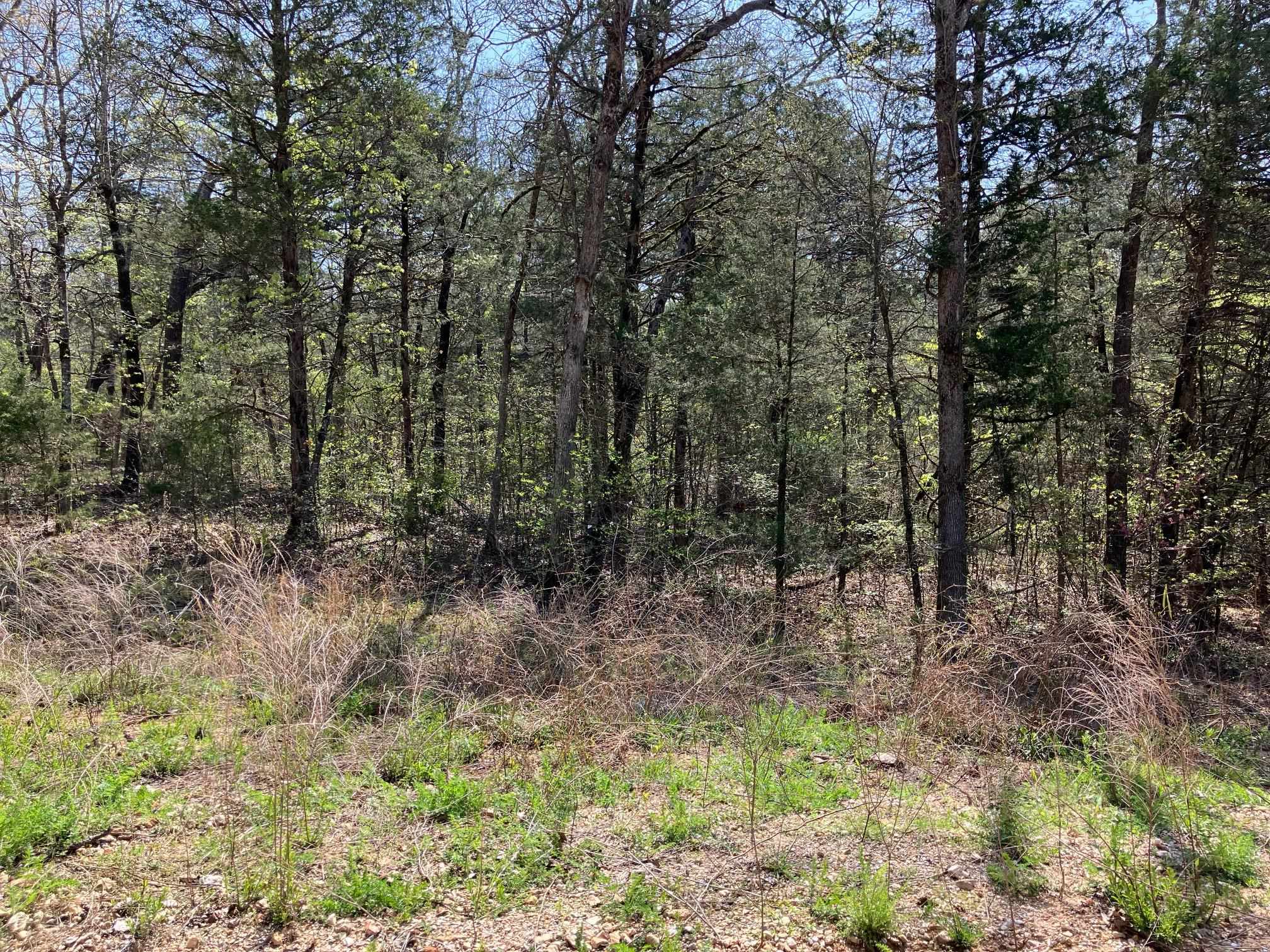 S River Road Property Photo 3