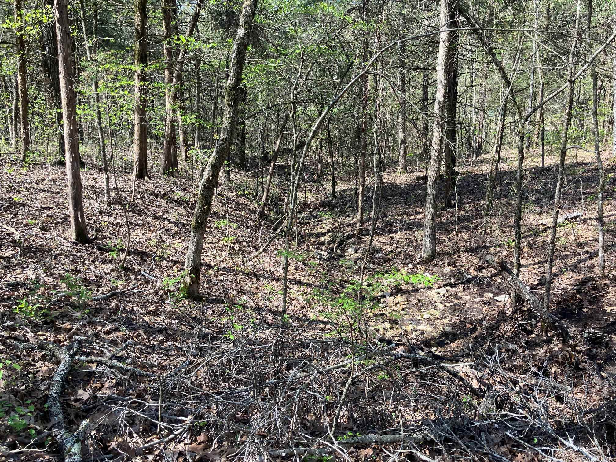 S River Road Property Photo 6