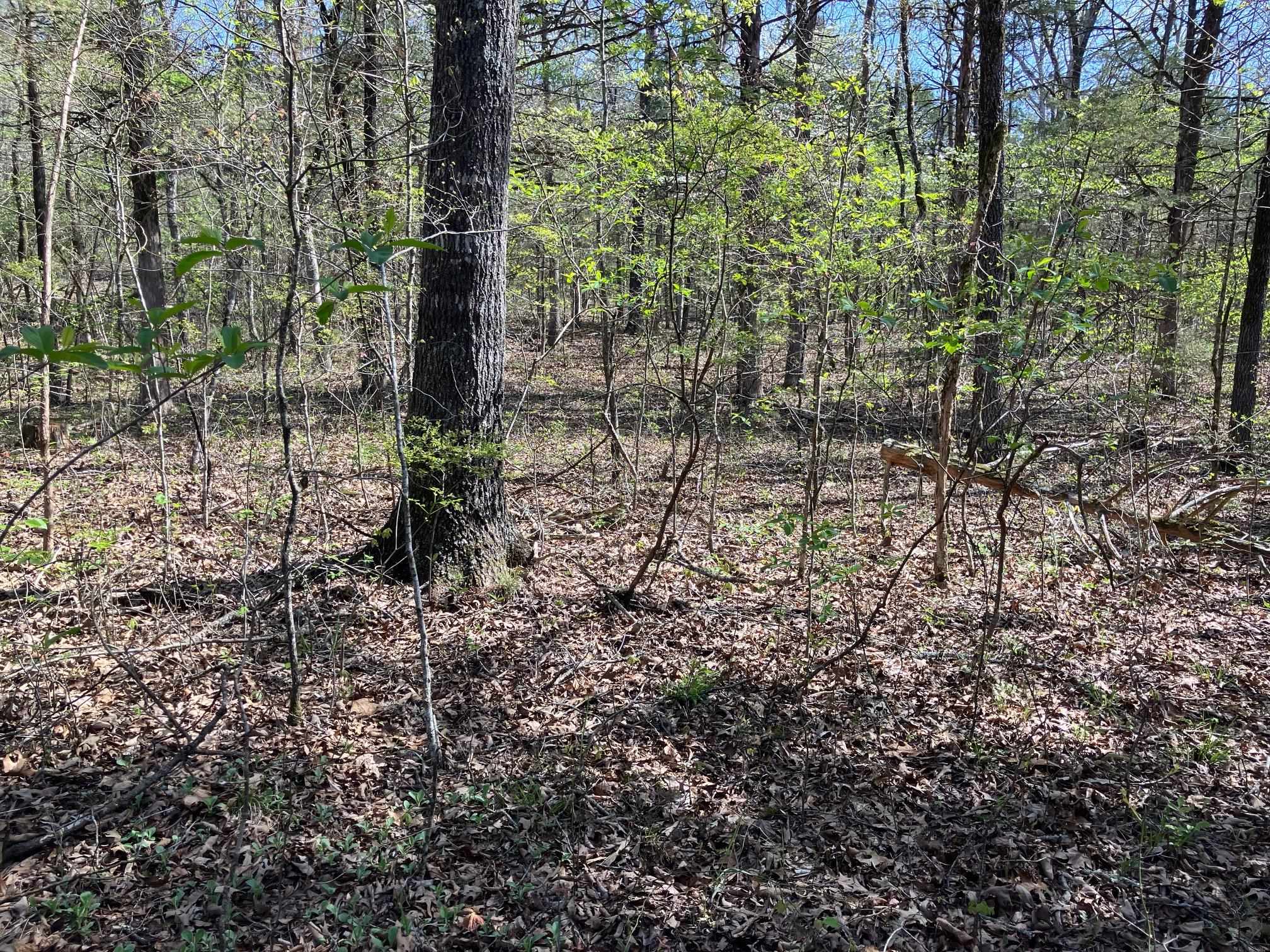 S River Road Property Photo 7