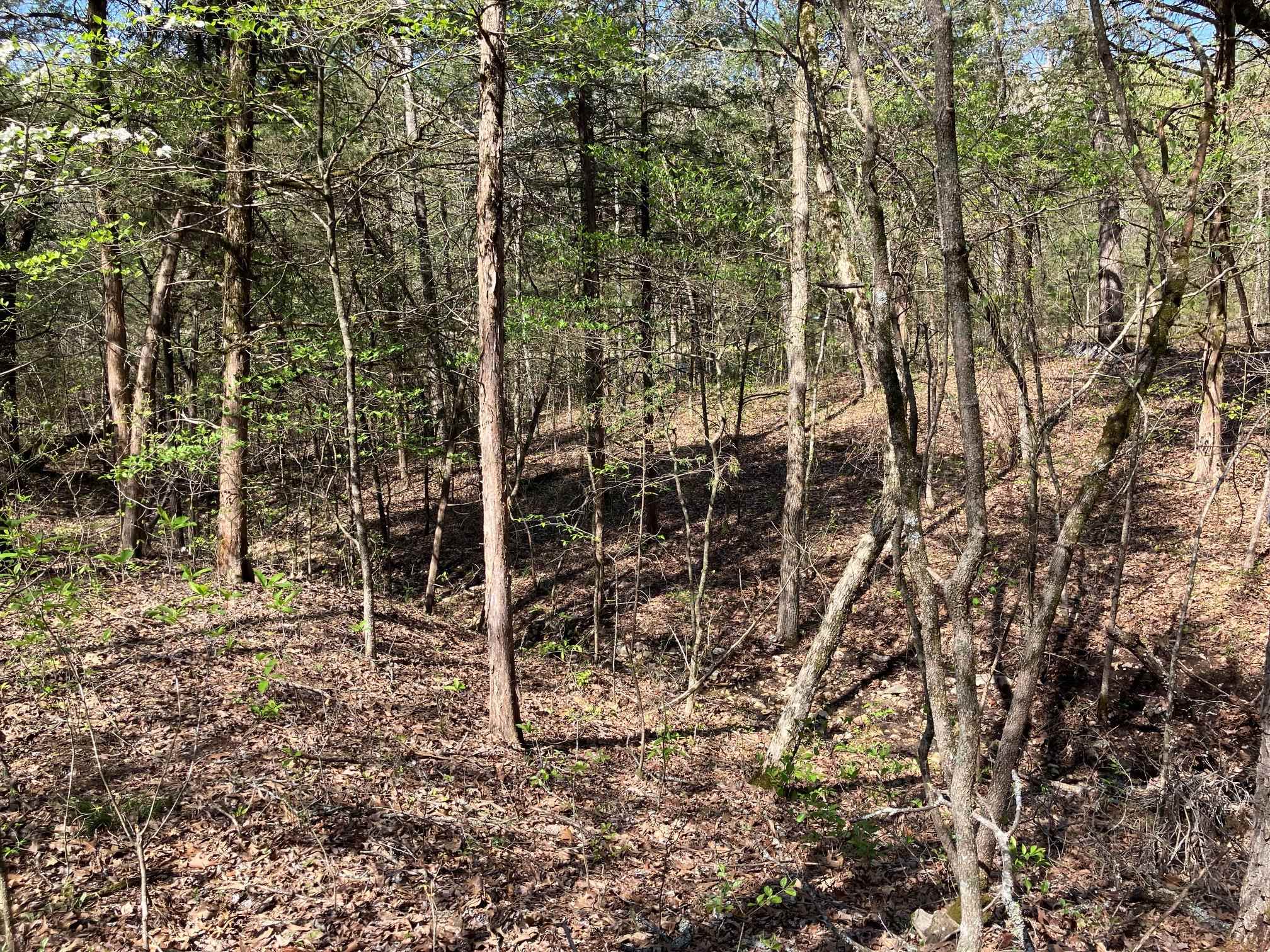 S River Road Property Photo 8