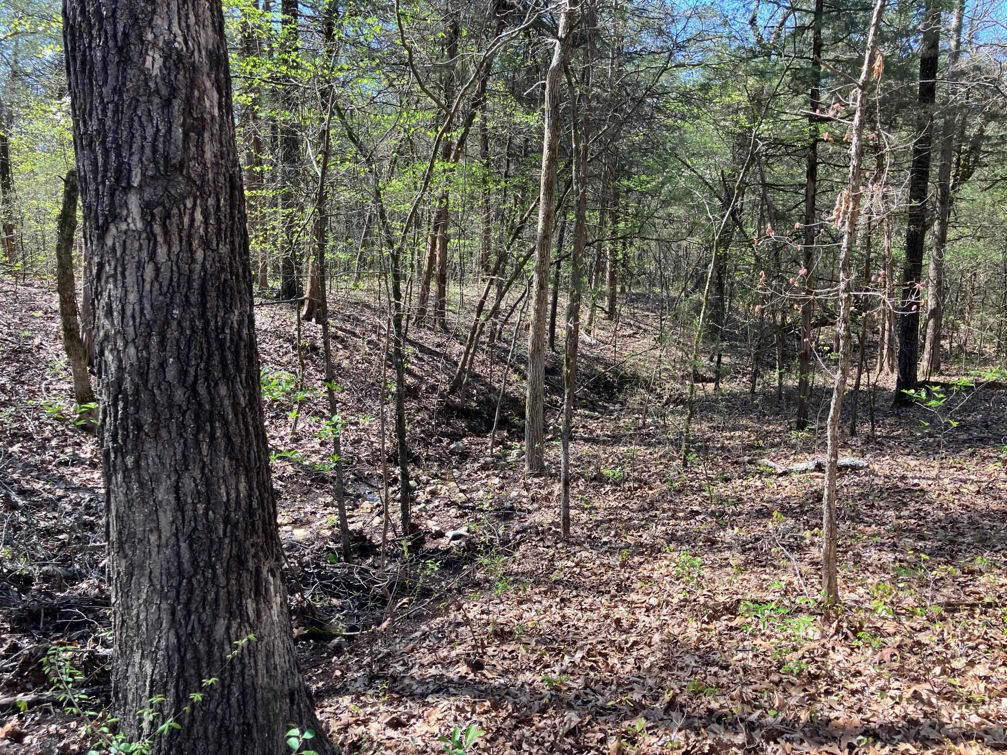 S River Road Property Photo 11