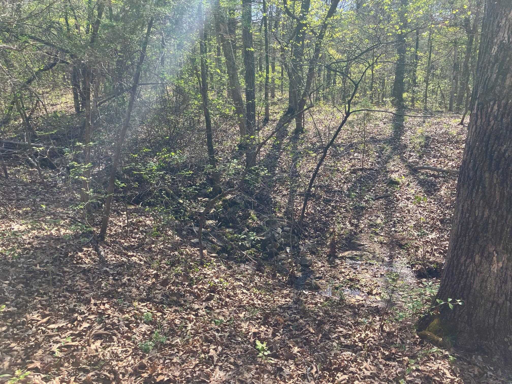 S River Road Property Photo 12