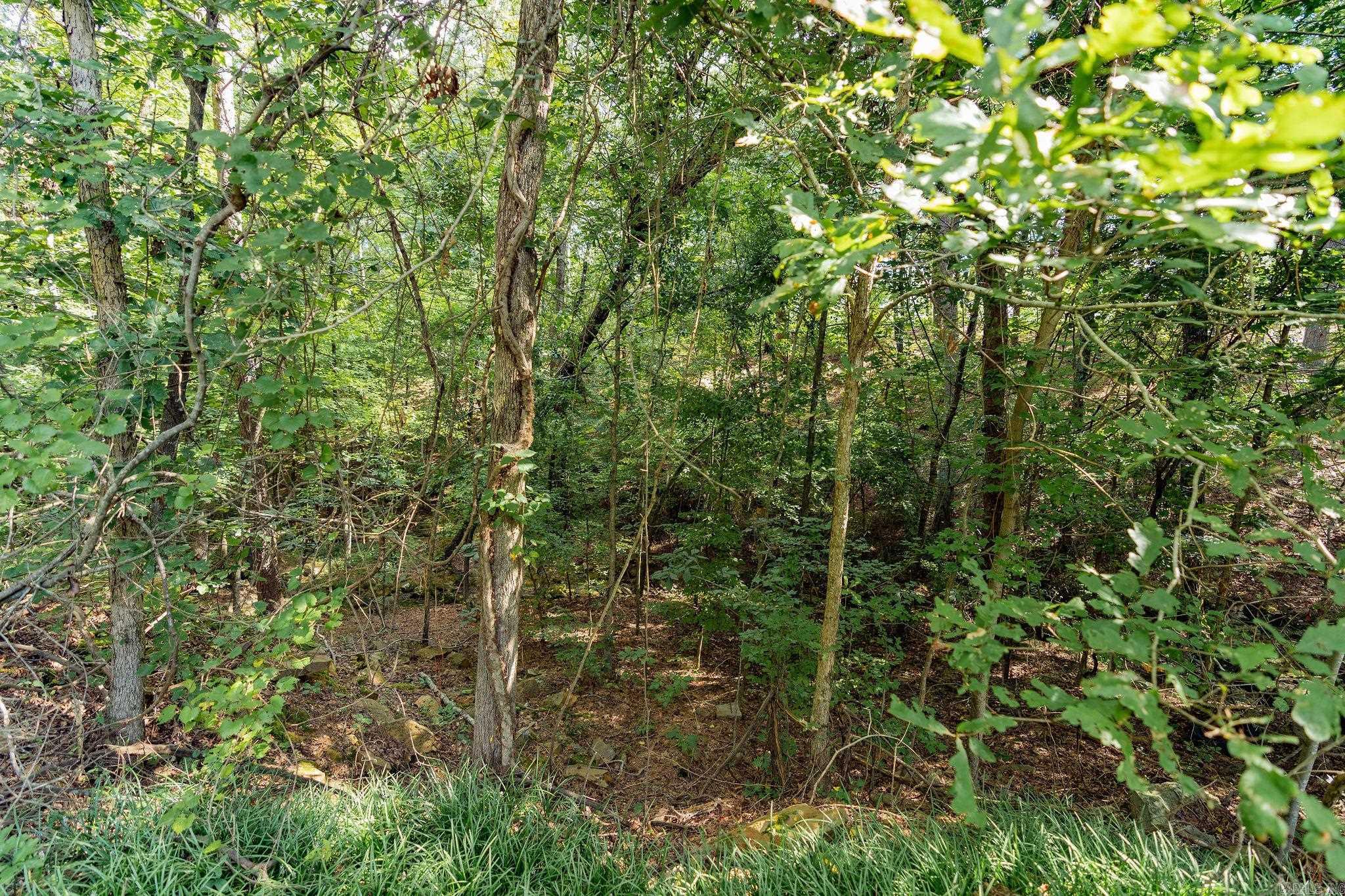 Lot 2 Little Red River Dr Property Photo 24