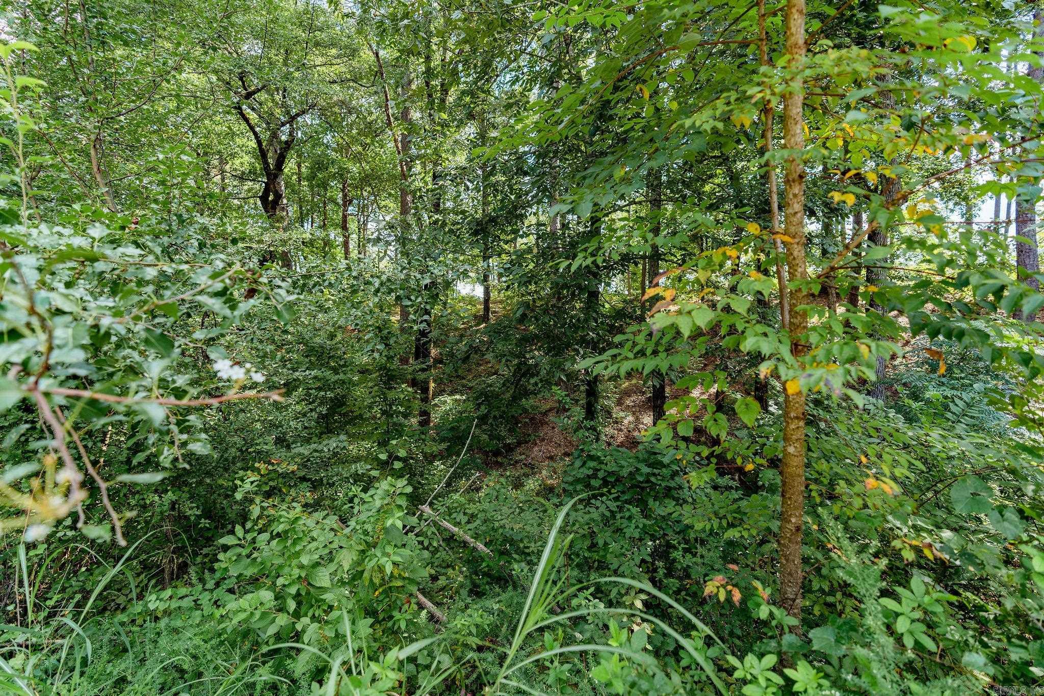 Lot 2 Little Red River Dr Property Photo 27