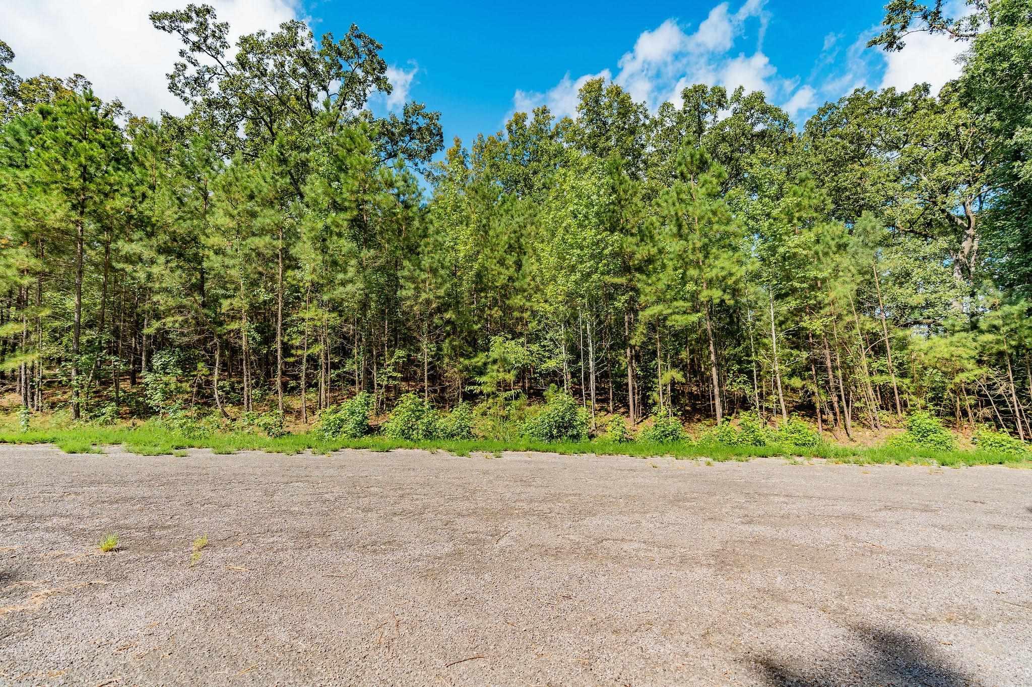 Lot 2 Little Red River Dr Property Photo 28