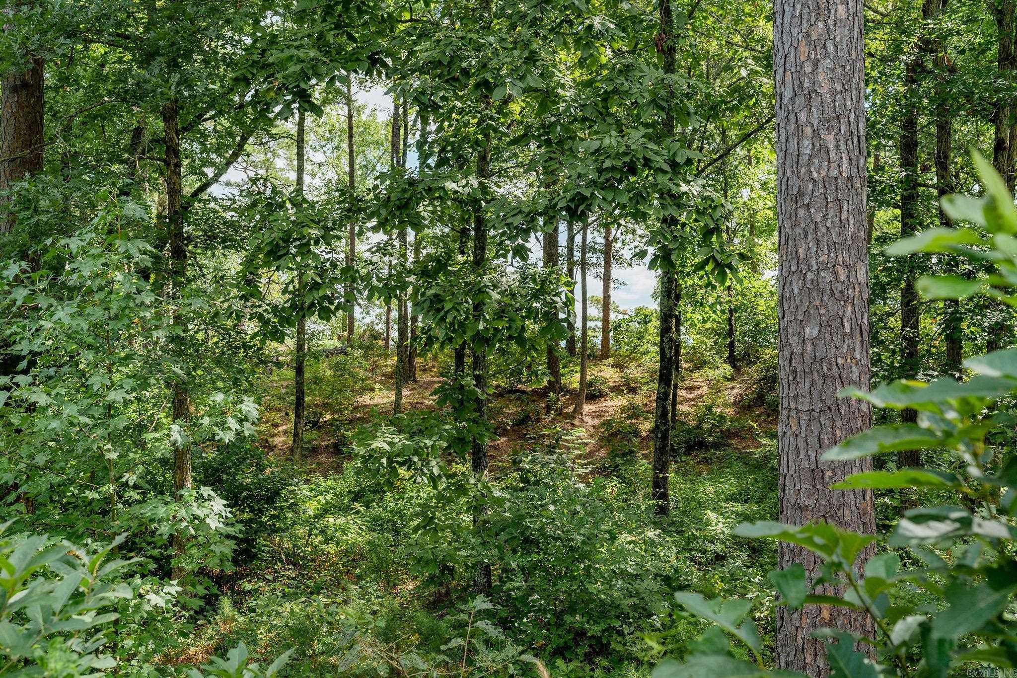Lot 2 Little Red River Dr Property Photo 30