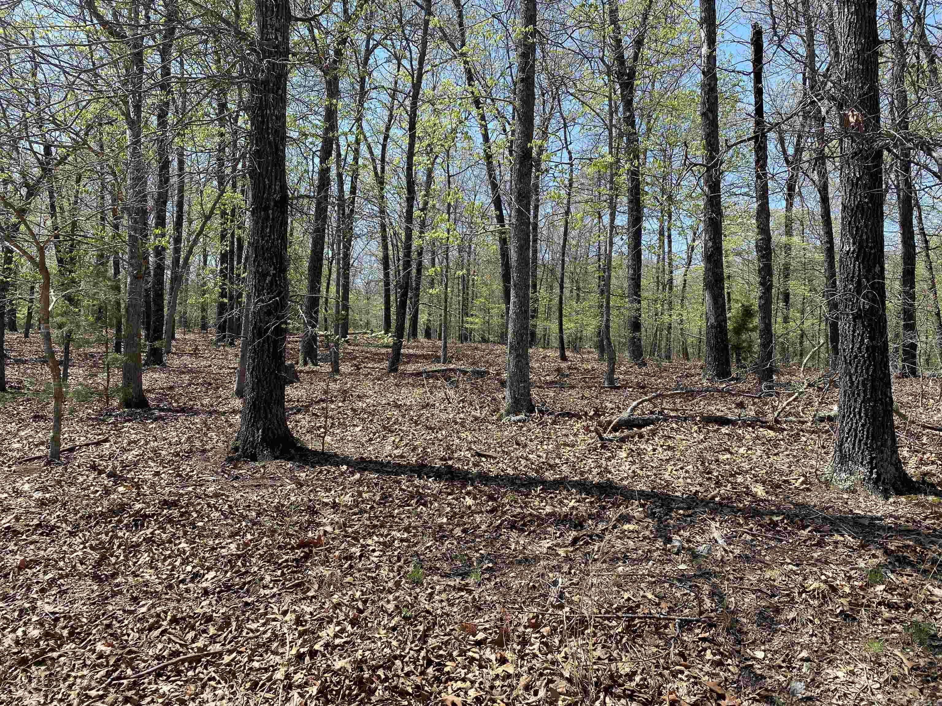 563-00020-000 Sunrise Circle Property Photo 4