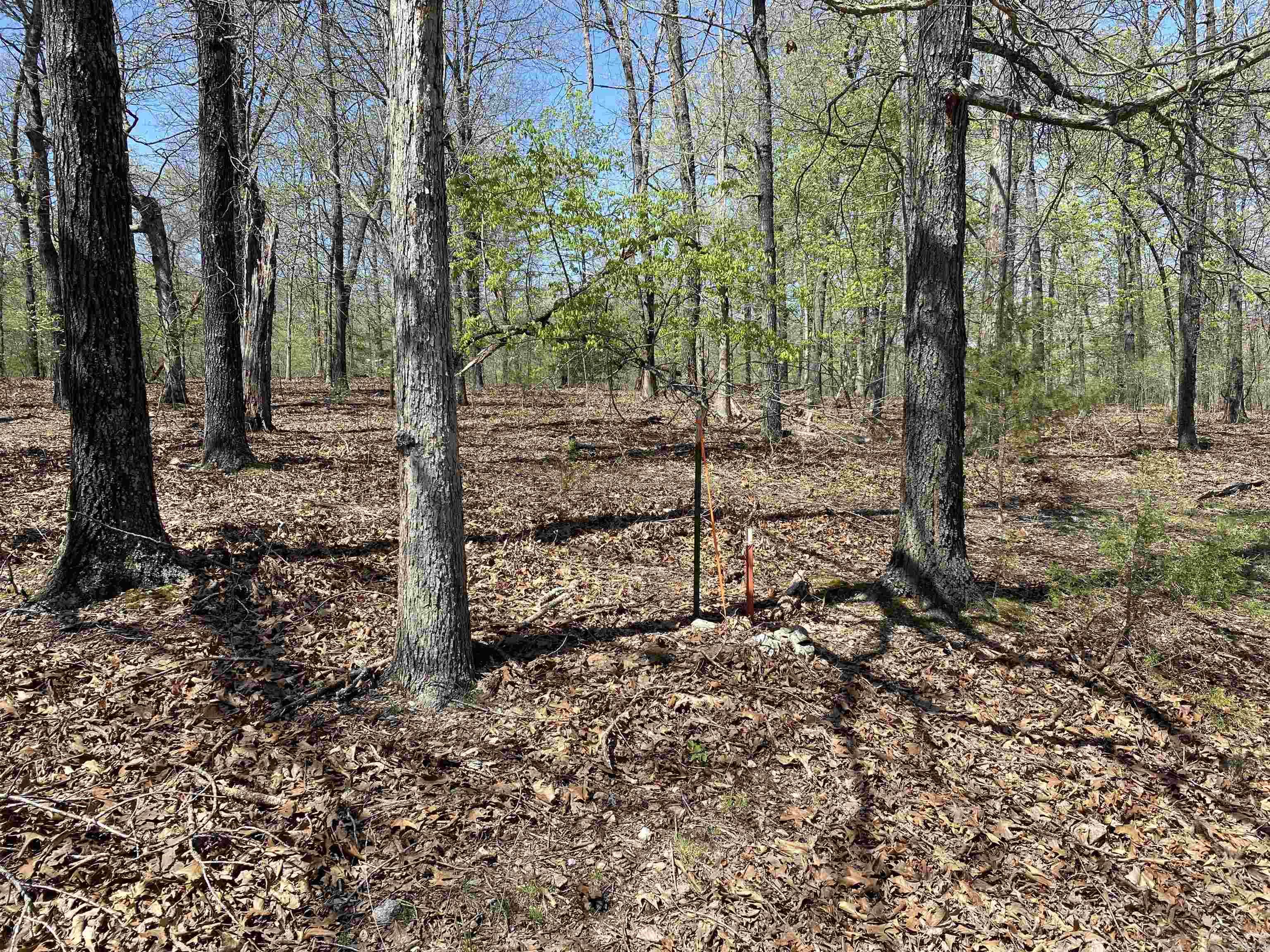 563-00020-000 Sunrise Circle Property Photo 5
