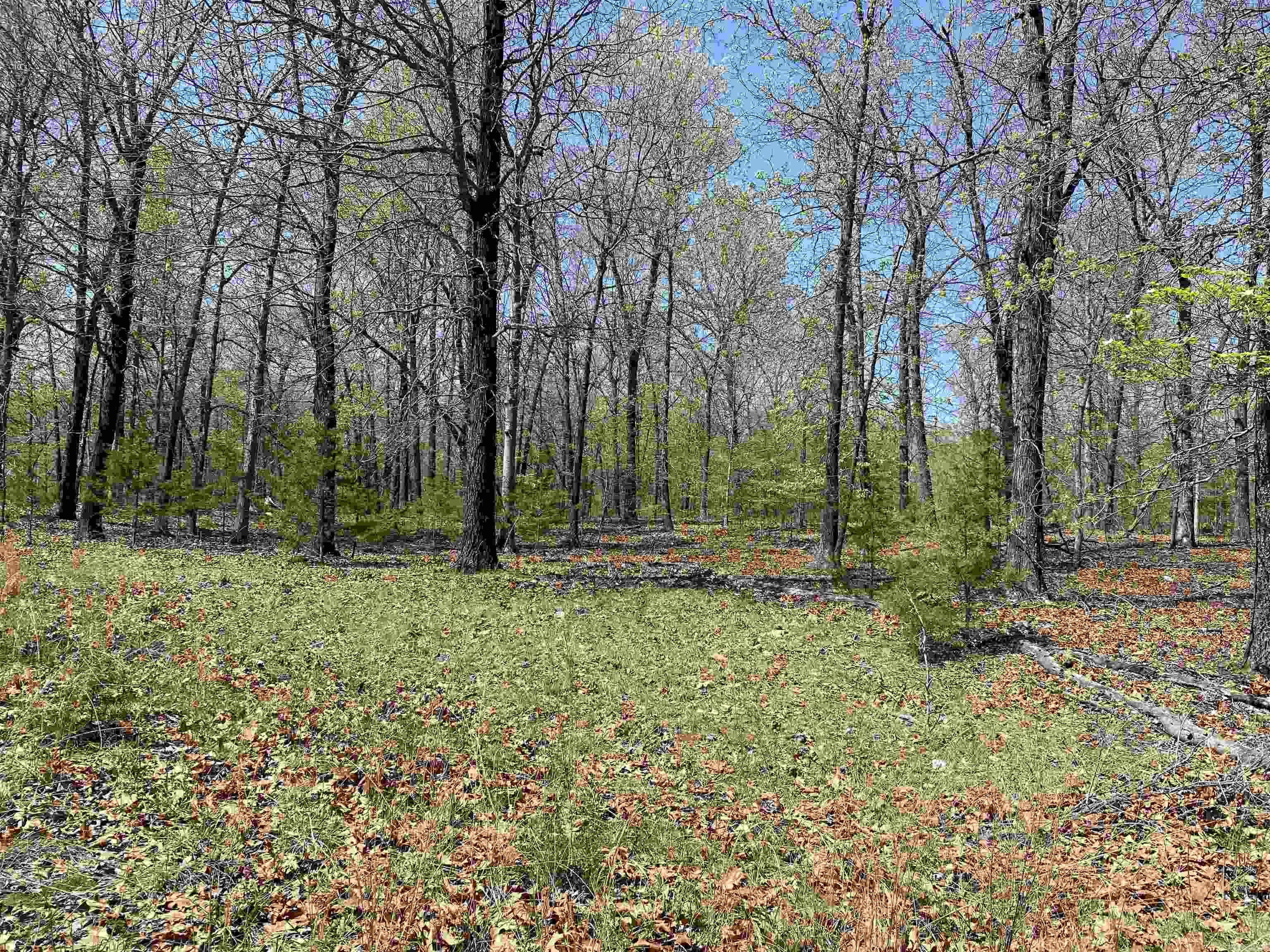 563-00020-000 Sunrise Circle Property Photo 6