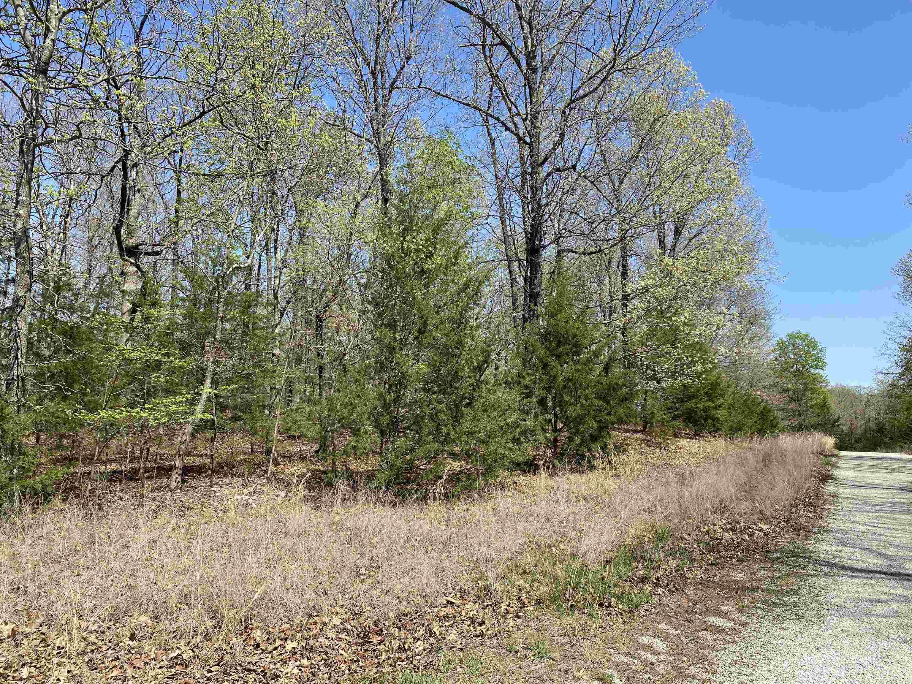 563-00020-000 Sunrise Circle Property Photo 7