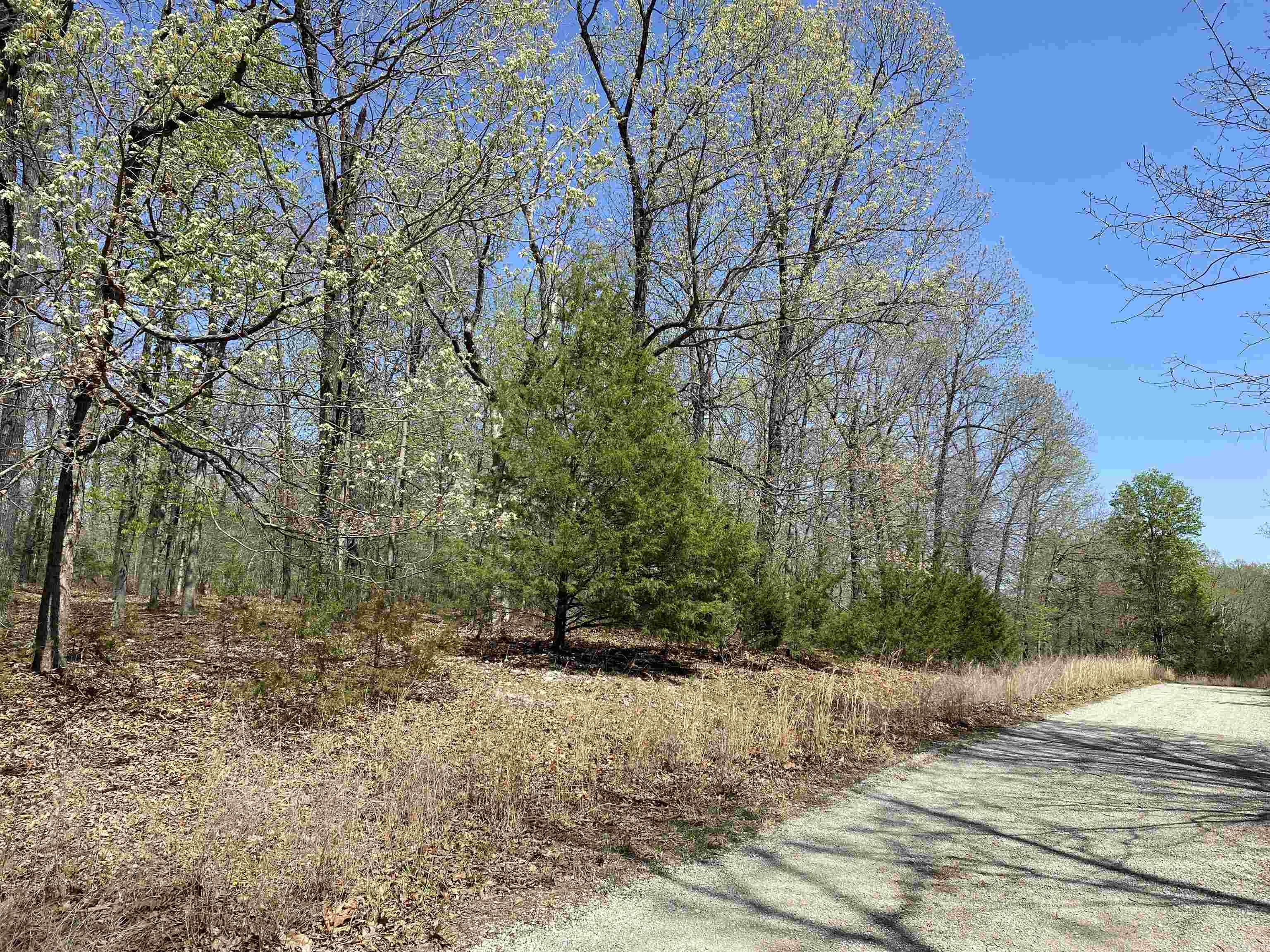 563-00020-000 Sunrise Circle Property Photo 8