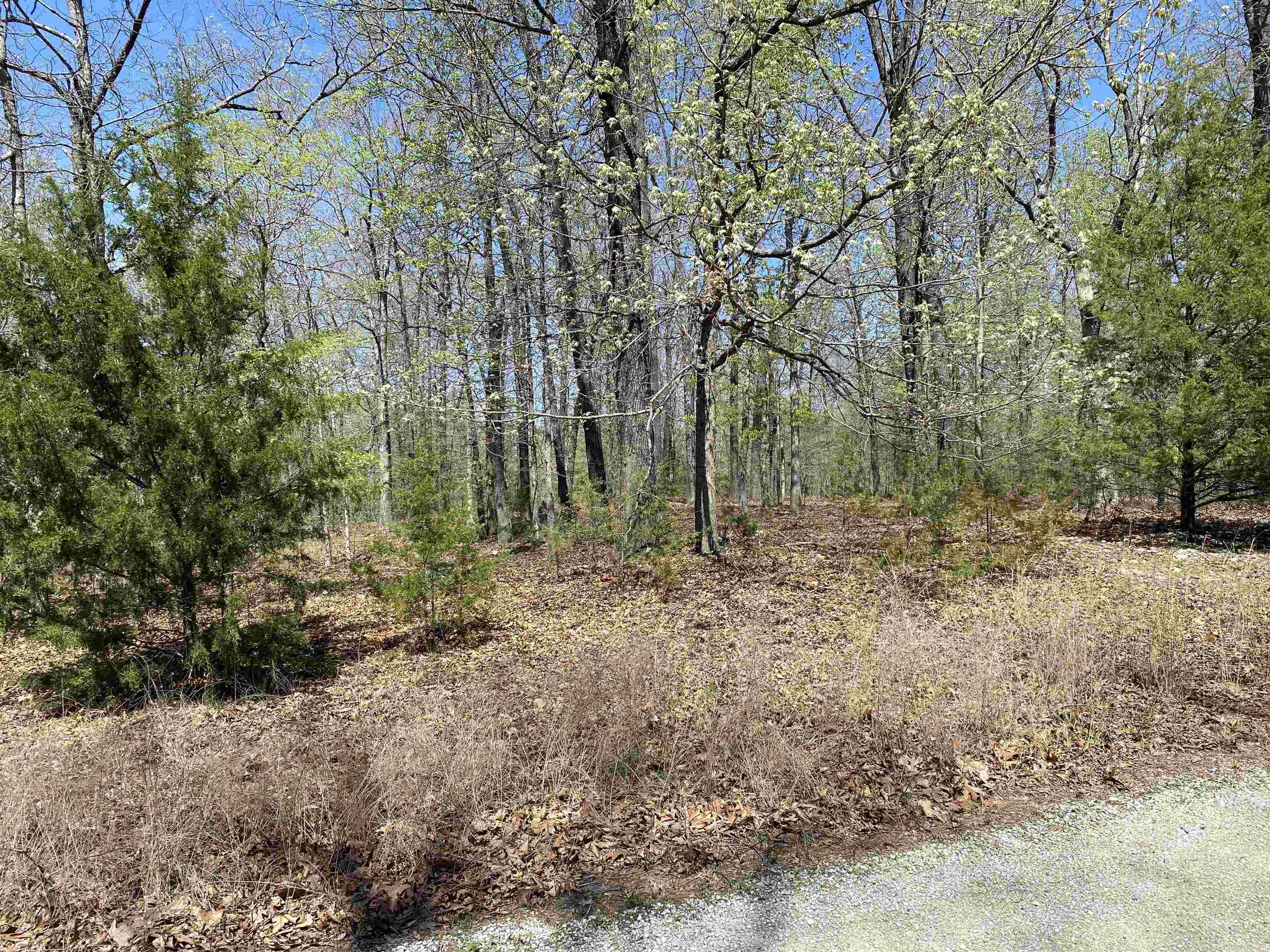 563-00020-000 Sunrise Circle Property Photo 9