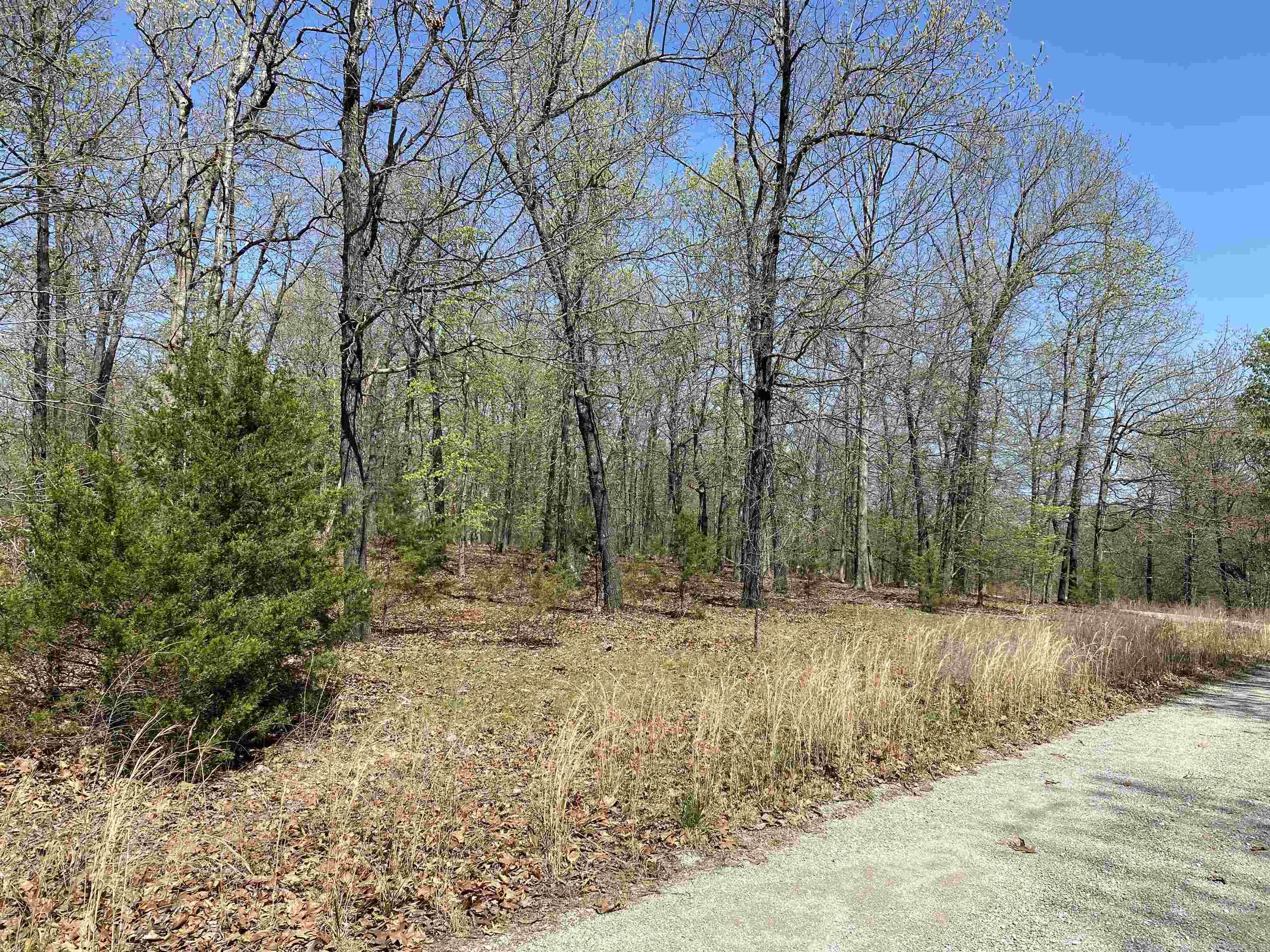 563-00020-000 Sunrise Circle Property Photo 10