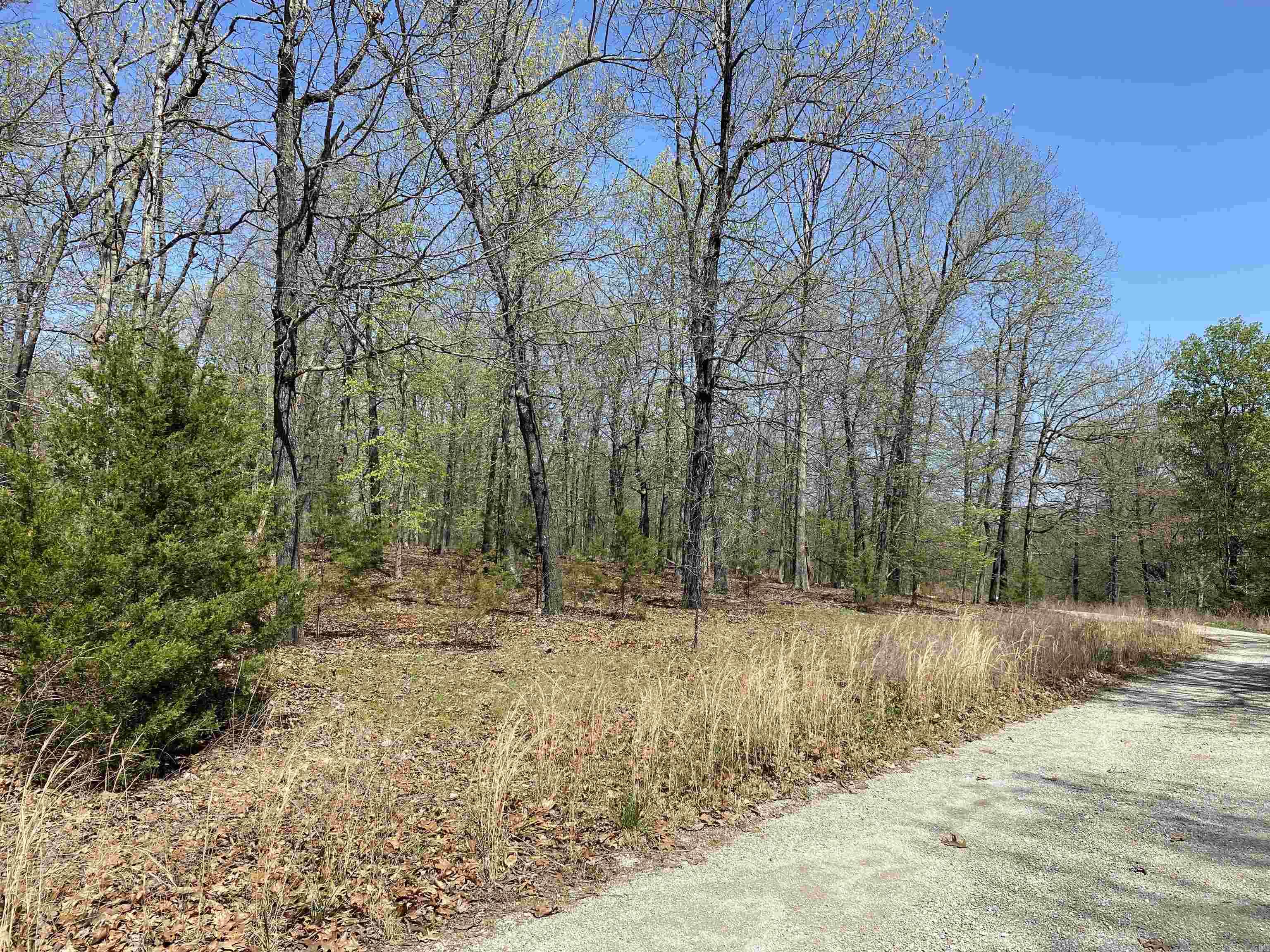 563-00020-000 Sunrise Circle Property Photo 11