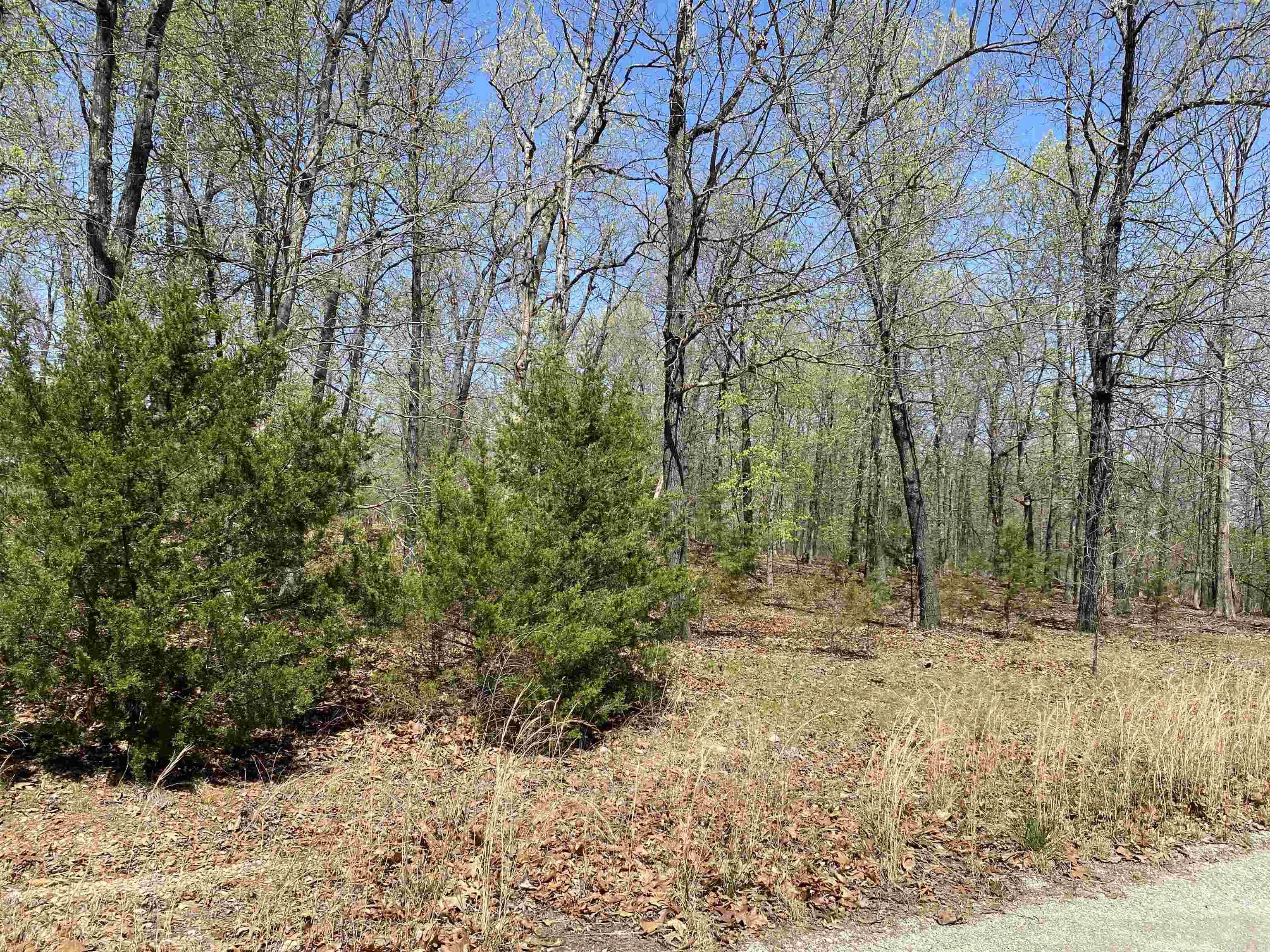 563-00020-000 Sunrise Circle Property Photo 12