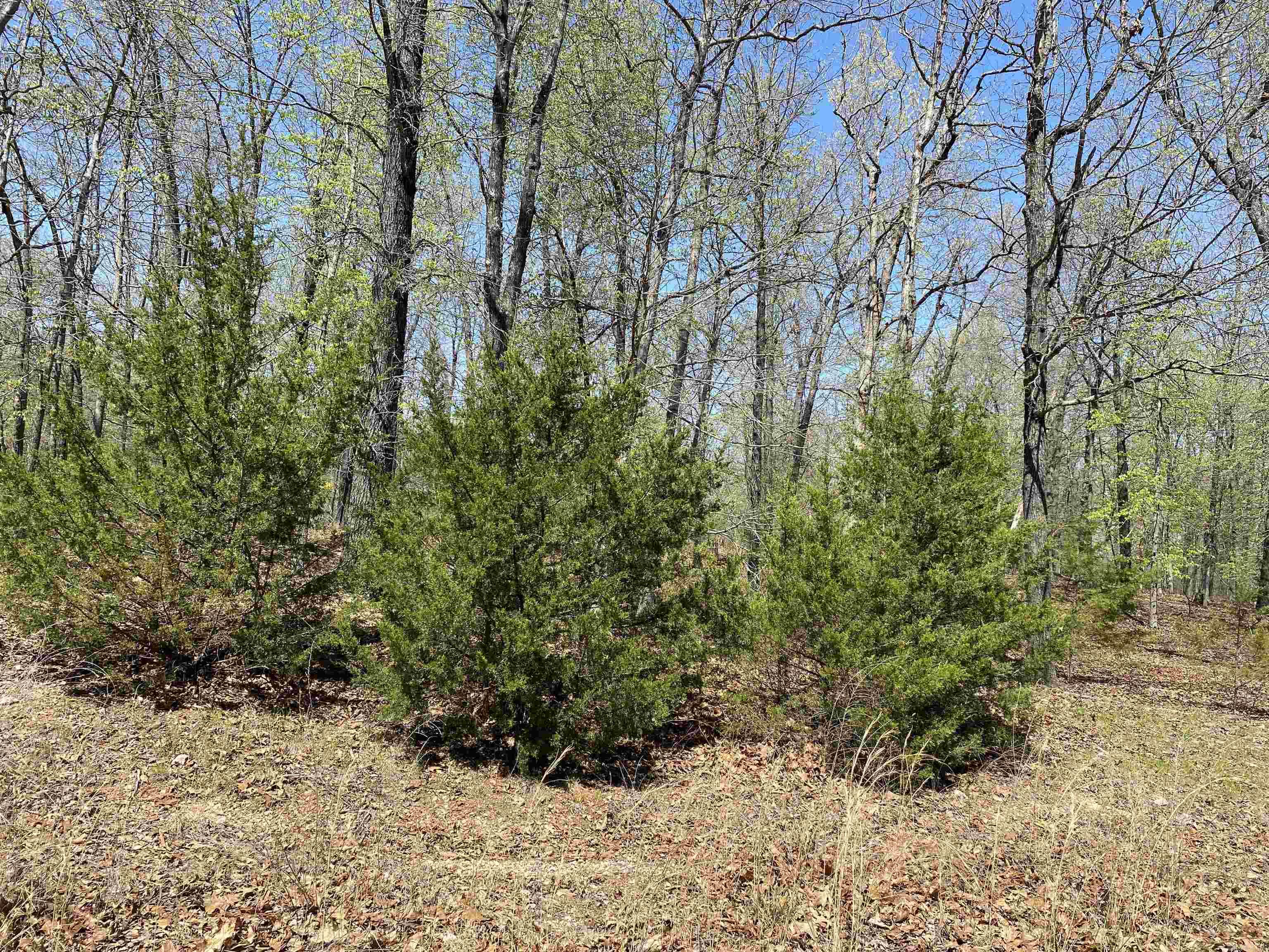 563-00020-000 Sunrise Circle Property Photo 13