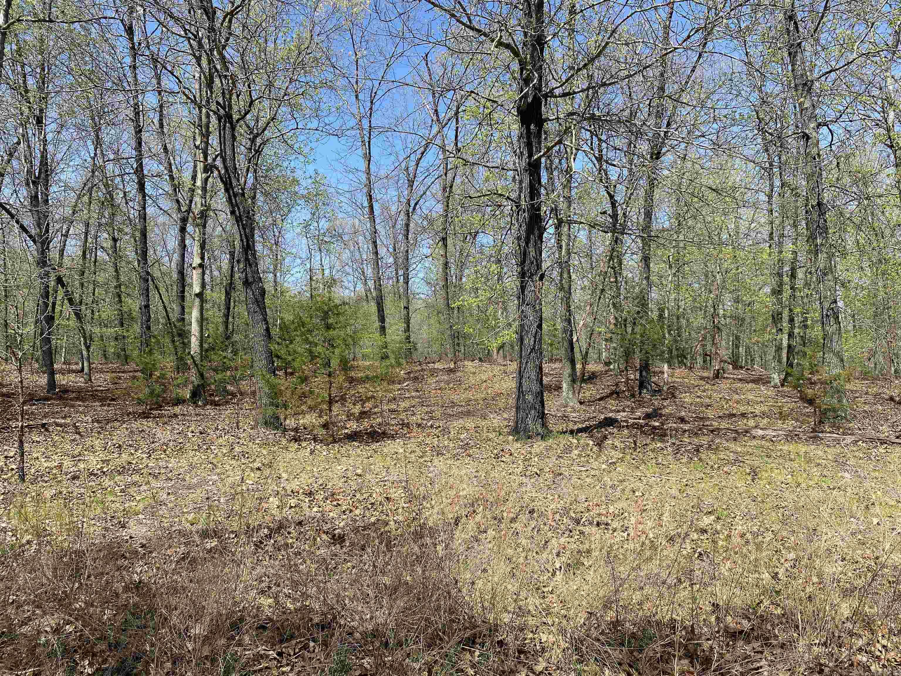 563-00020-000 Sunrise Circle Property Photo 14