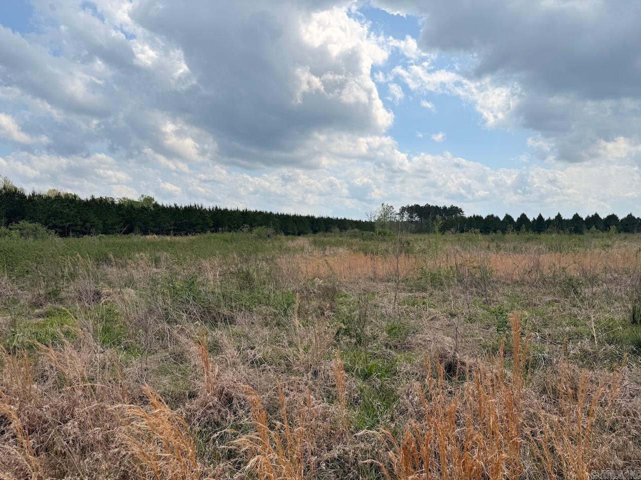 Hwy 172 Property Photo 1
