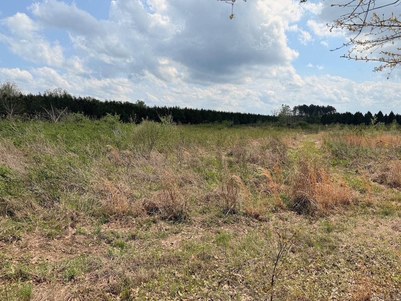 Hwy 172 Property Photo 4