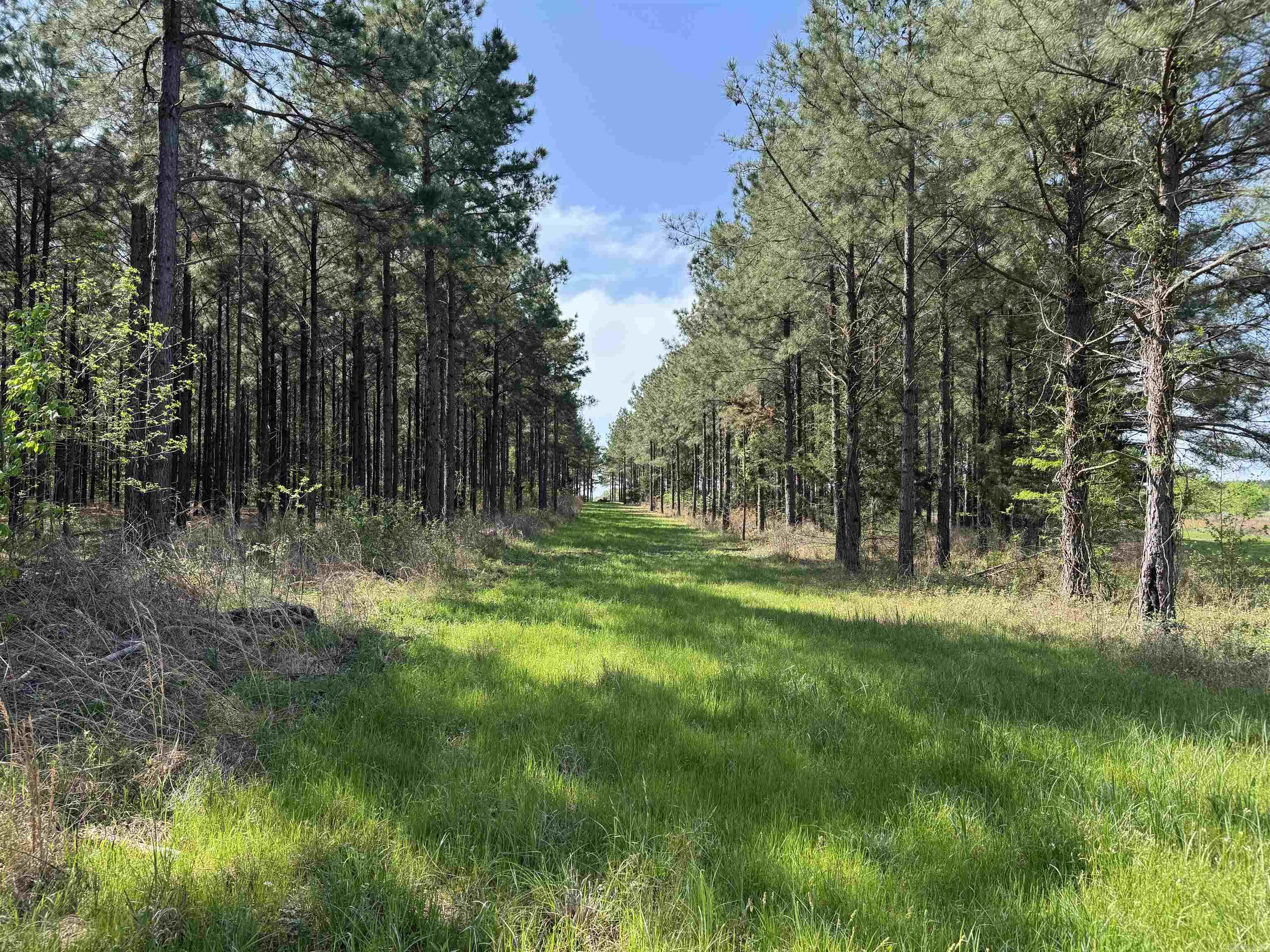 307 Cadron Creek Road Property Photo 2