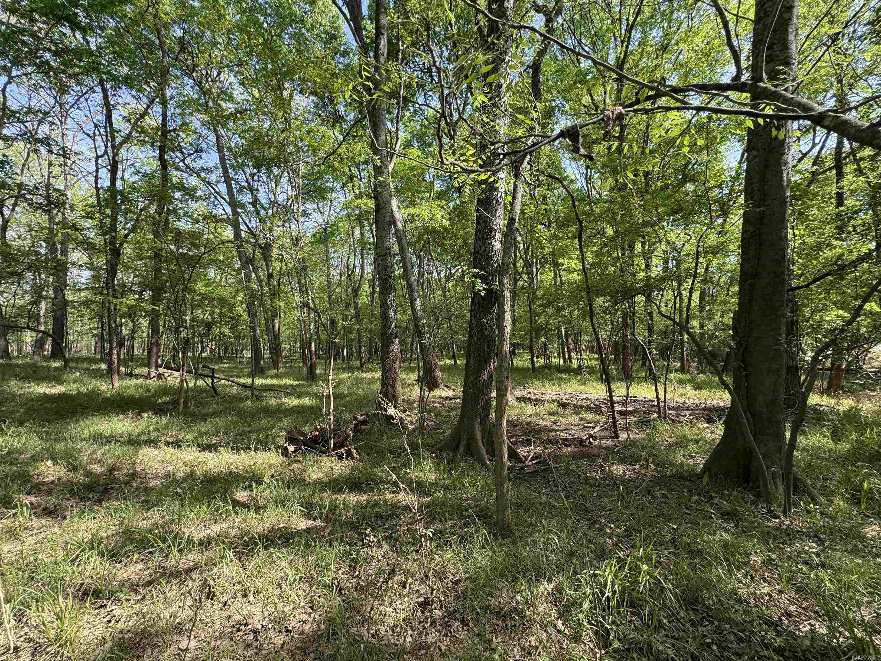 307 Cadron Creek Road Property Photo 3