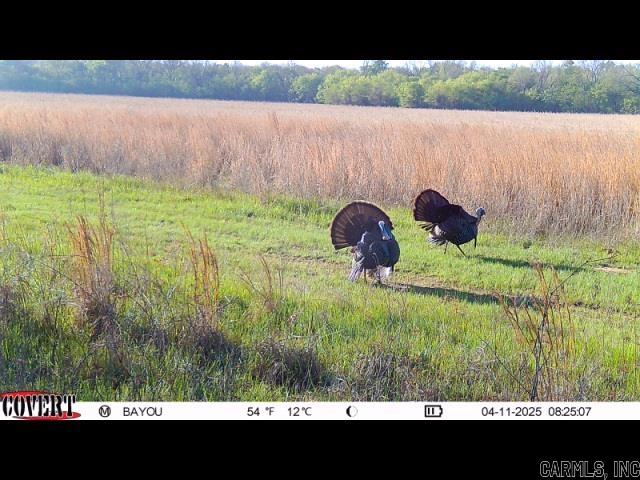 307 Cadron Creek Road Property Photo 5