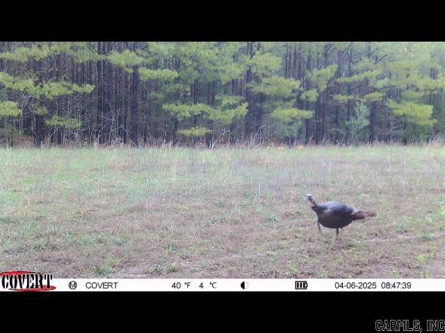307 Cadron Creek Road Property Photo 6