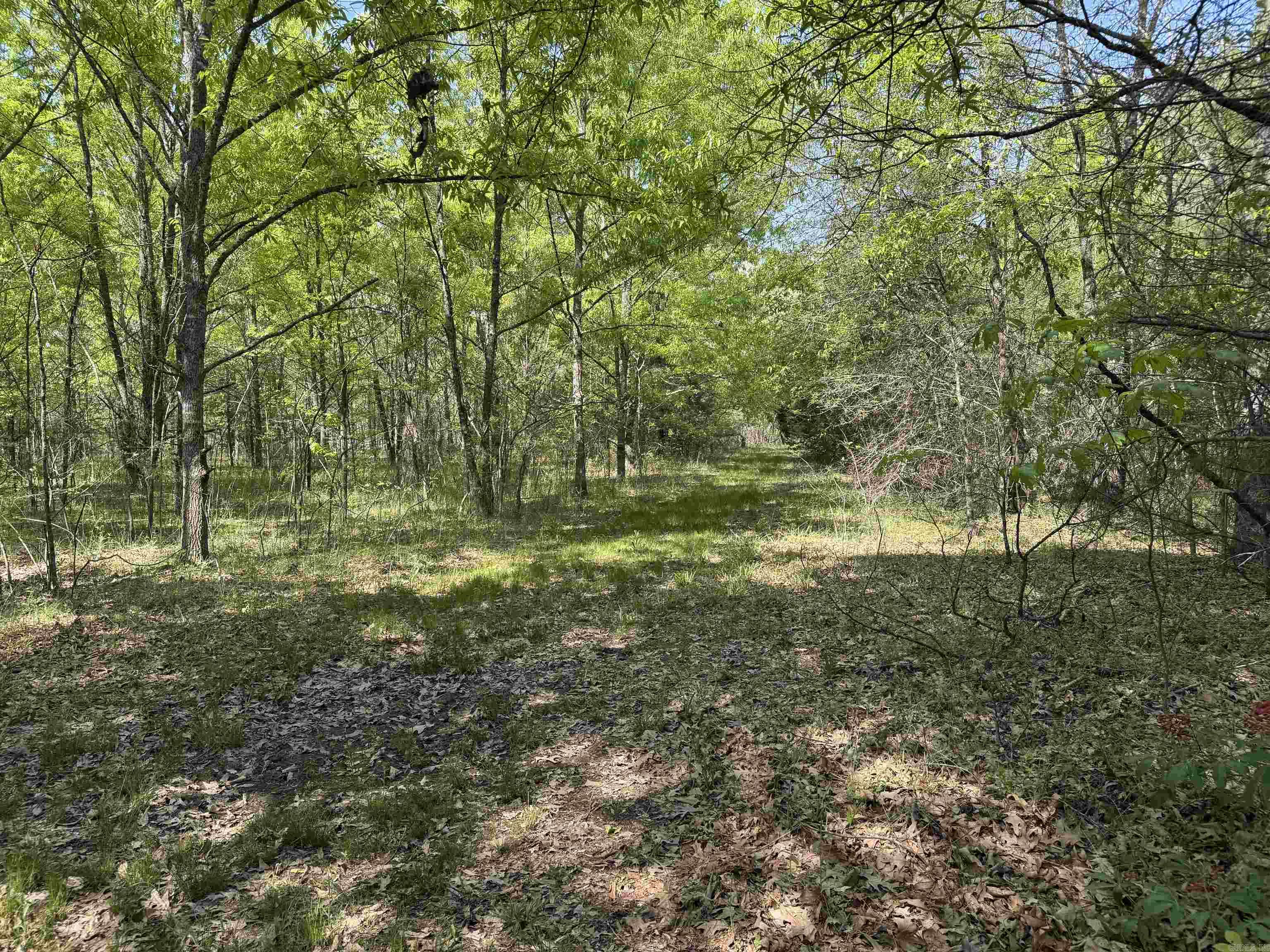 307 Cadron Creek Road Property Photo 8