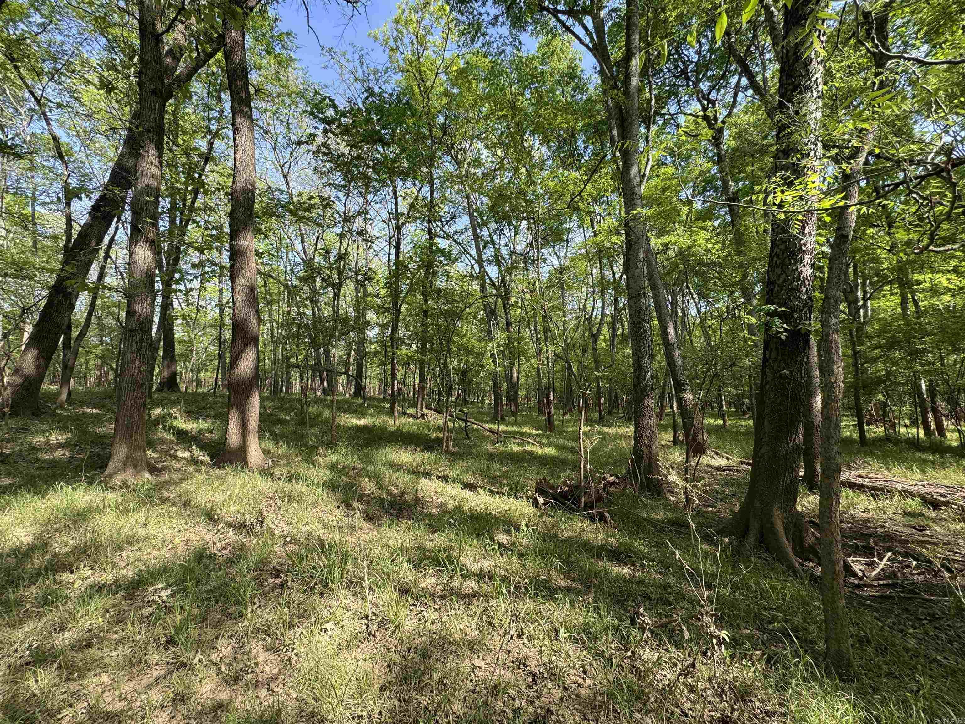 307 Cadron Creek Road Property Photo 9