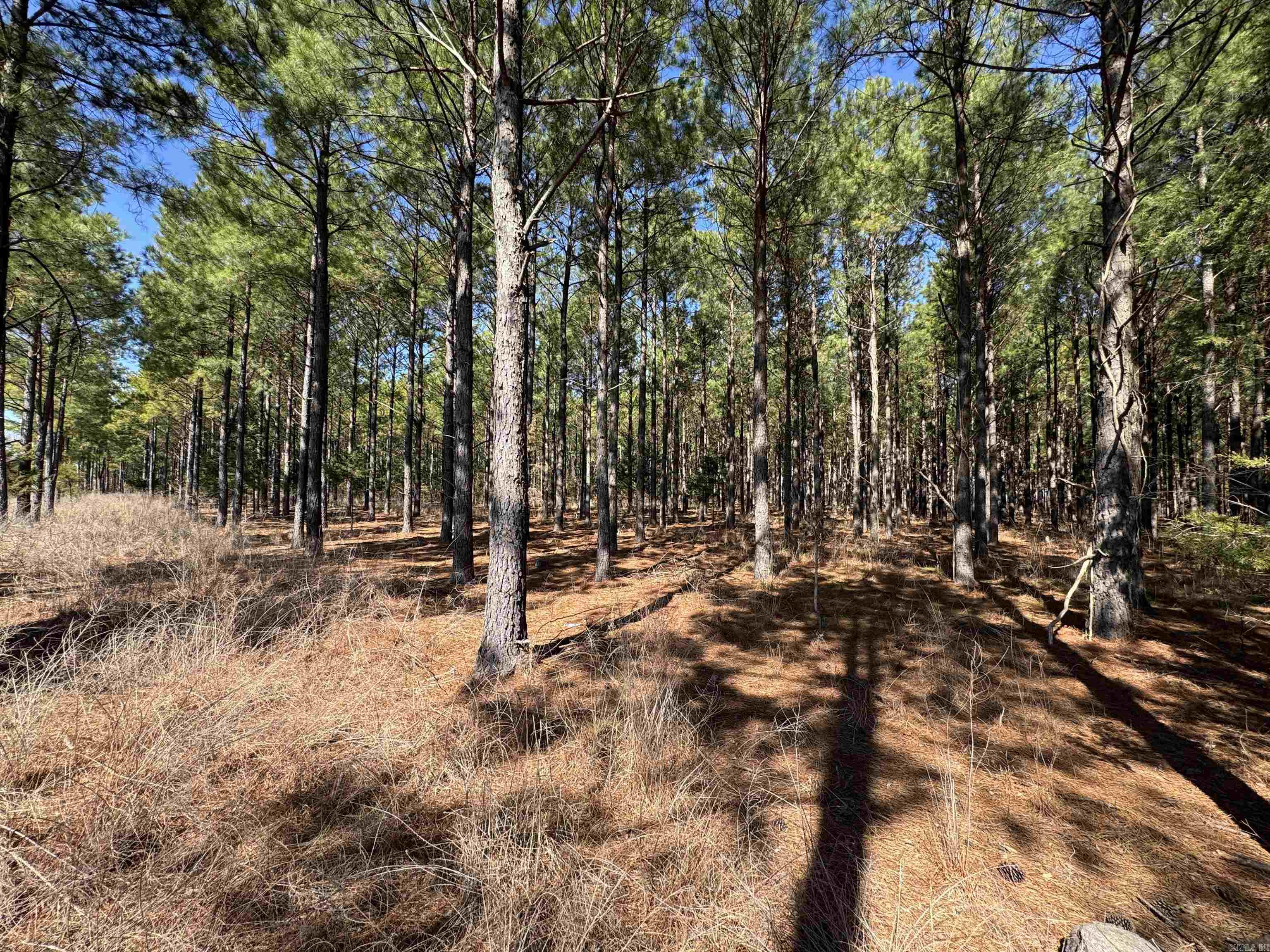 307 Cadron Creek Road Property Photo 22