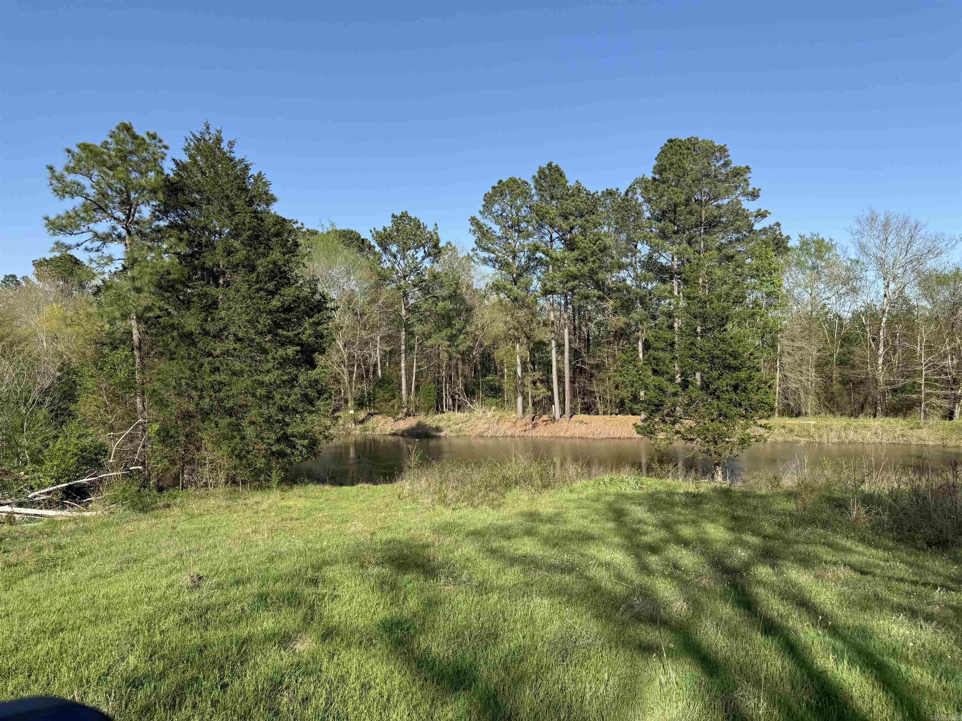 Tbd Denham Road Property Photo 8