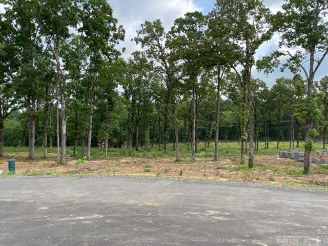Lot 6 Orchard Hill Ph 4 Property Photo 5