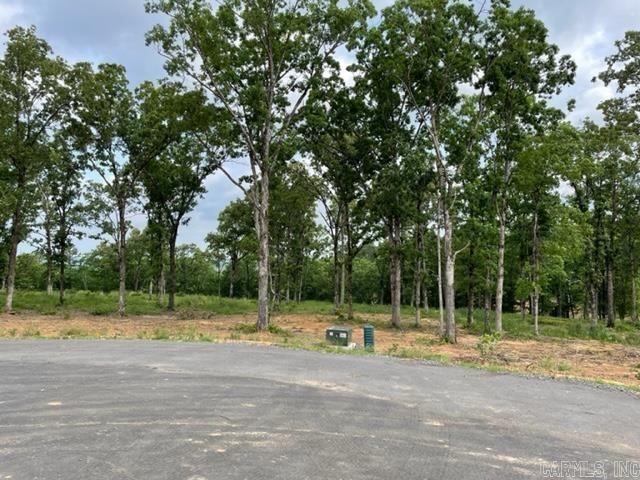 Lot 6 Orchard Hill Ph 4 Property Photo 6