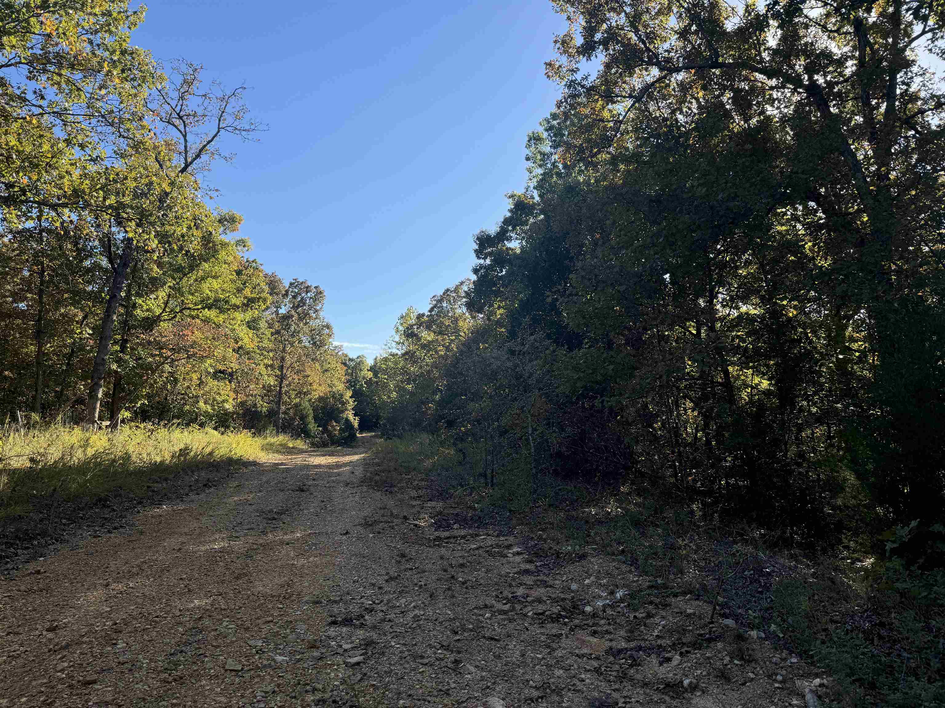 Lot 61 Red Fox Road Property Photo 1