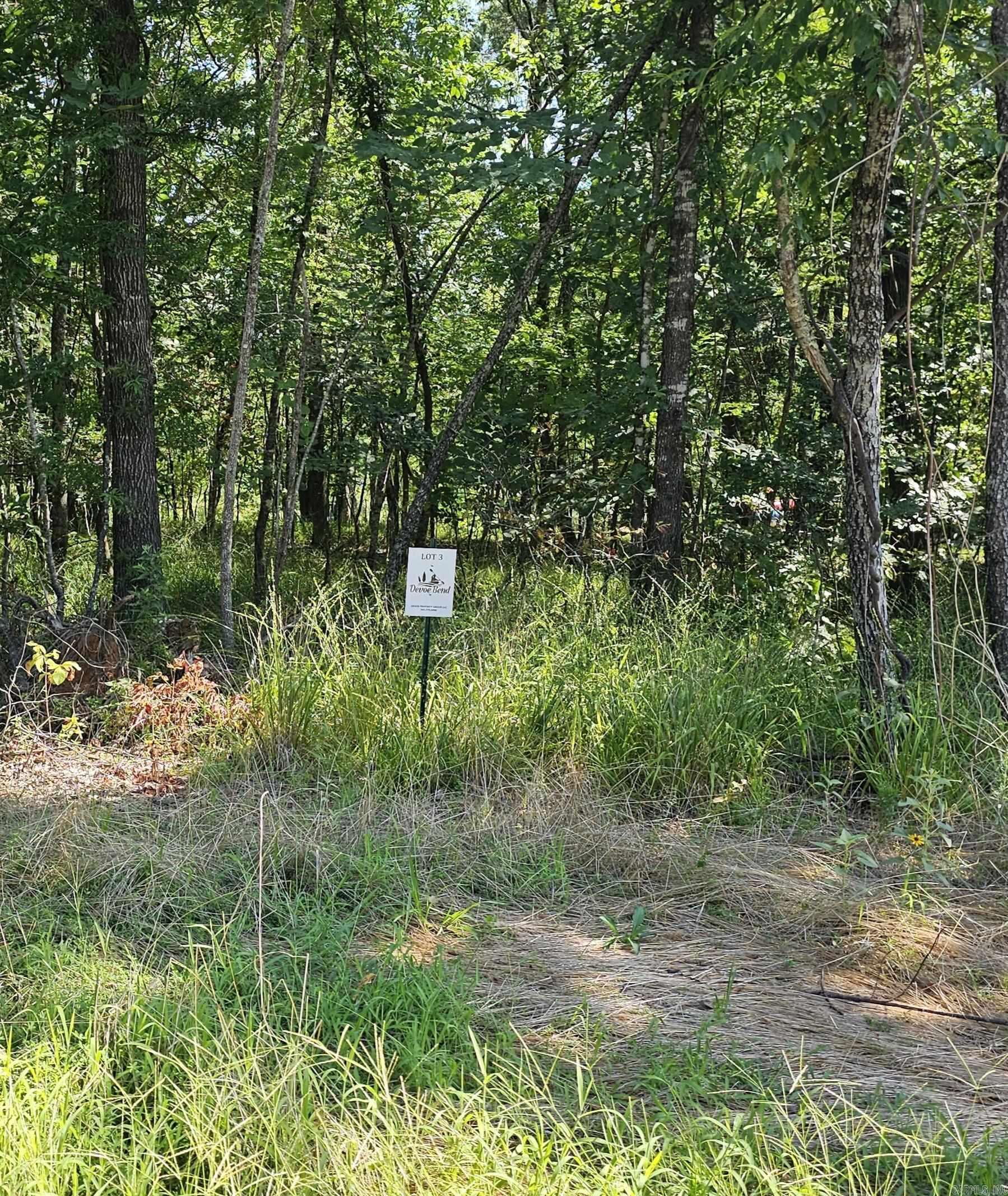 Lot 3 Devoe Bend Drive Property Photo 3