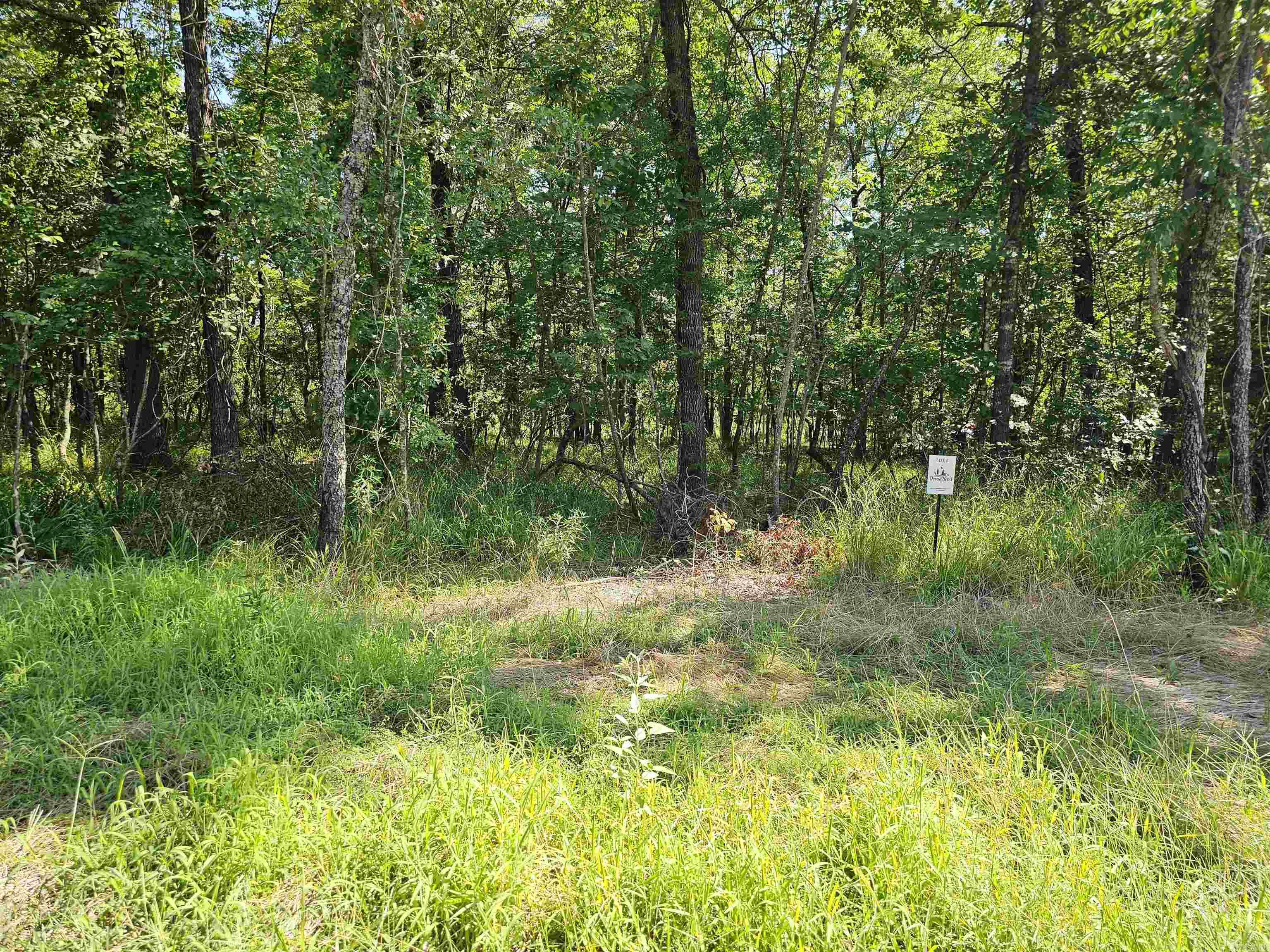 Lot 3 Devoe Bend Drive Property Photo 4