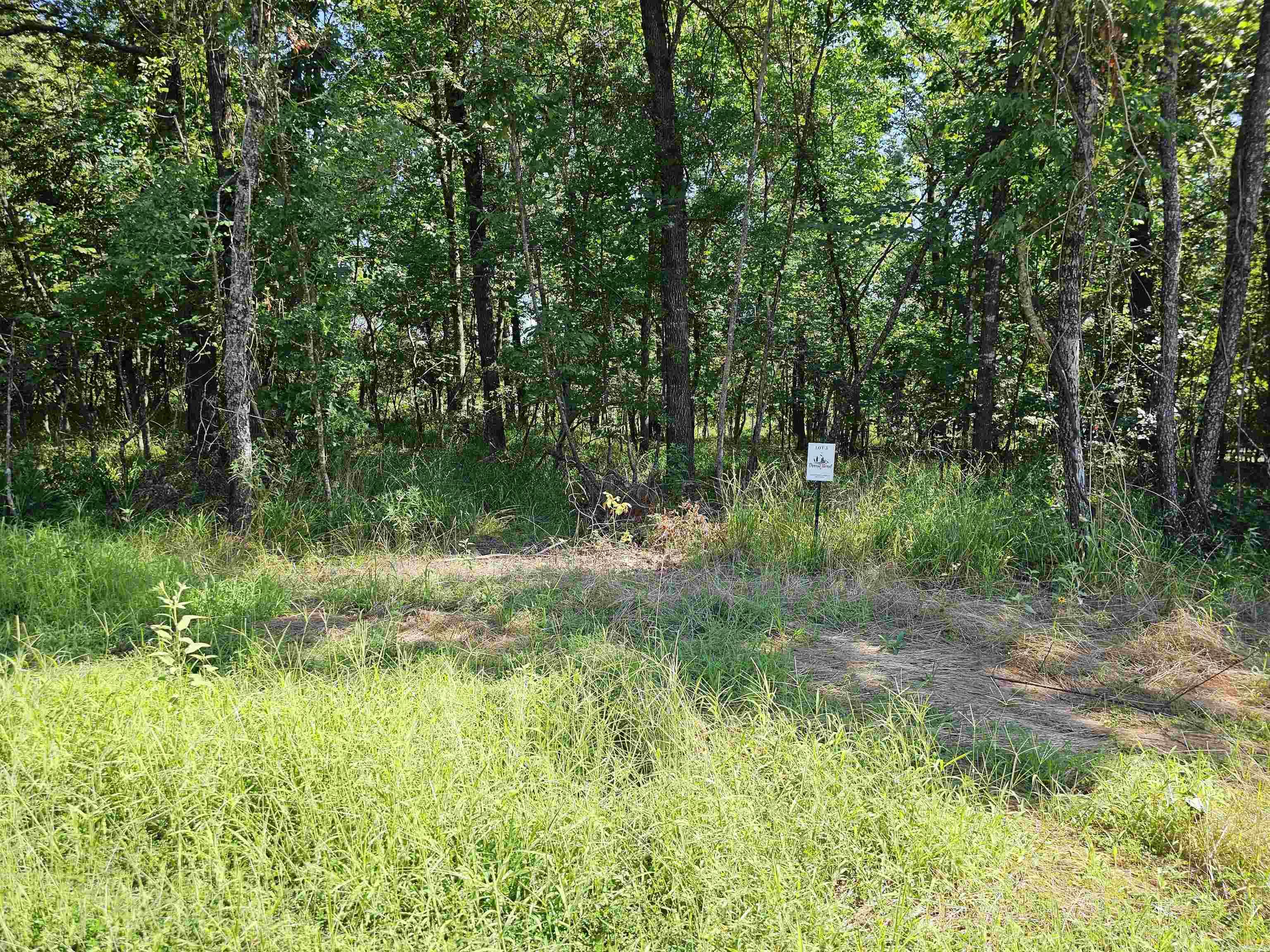 Lot 3 Devoe Bend Drive Property Photo 5