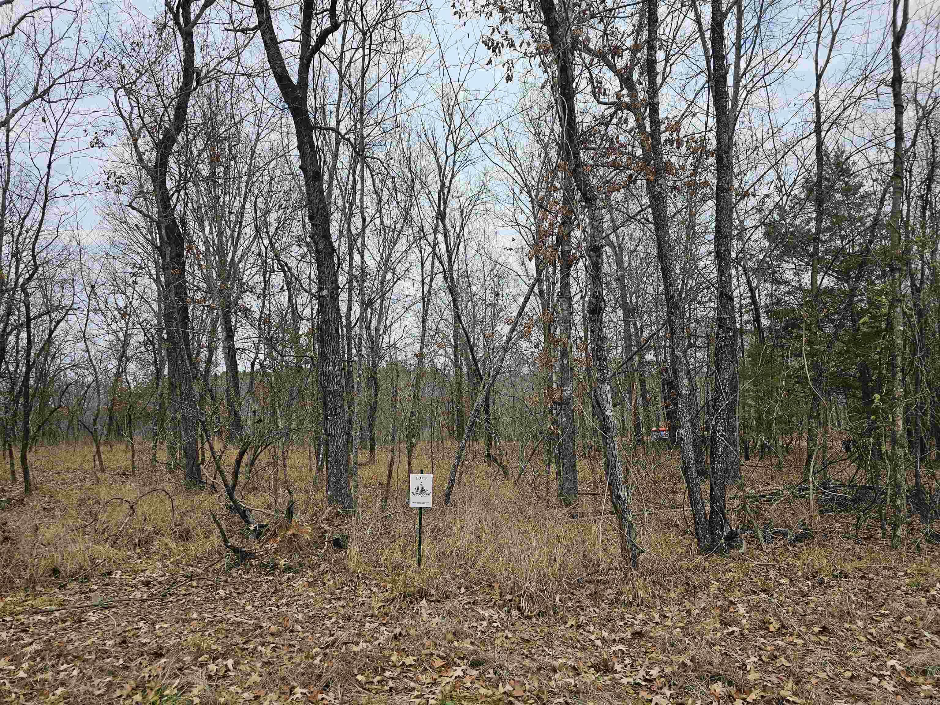 Lot 3 Devoe Bend Drive Property Photo 14