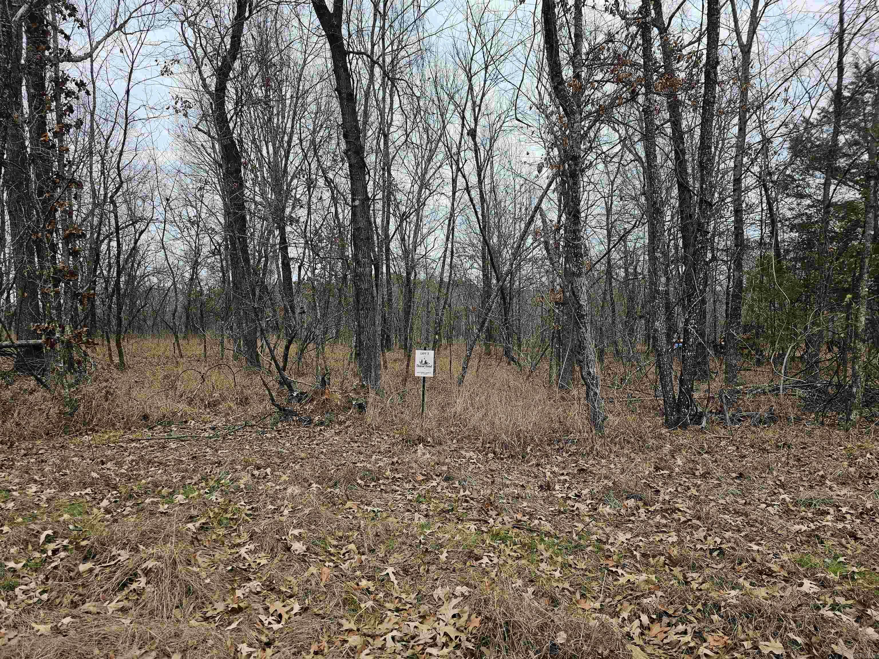 Lot 3 Devoe Bend Drive Property Photo 15