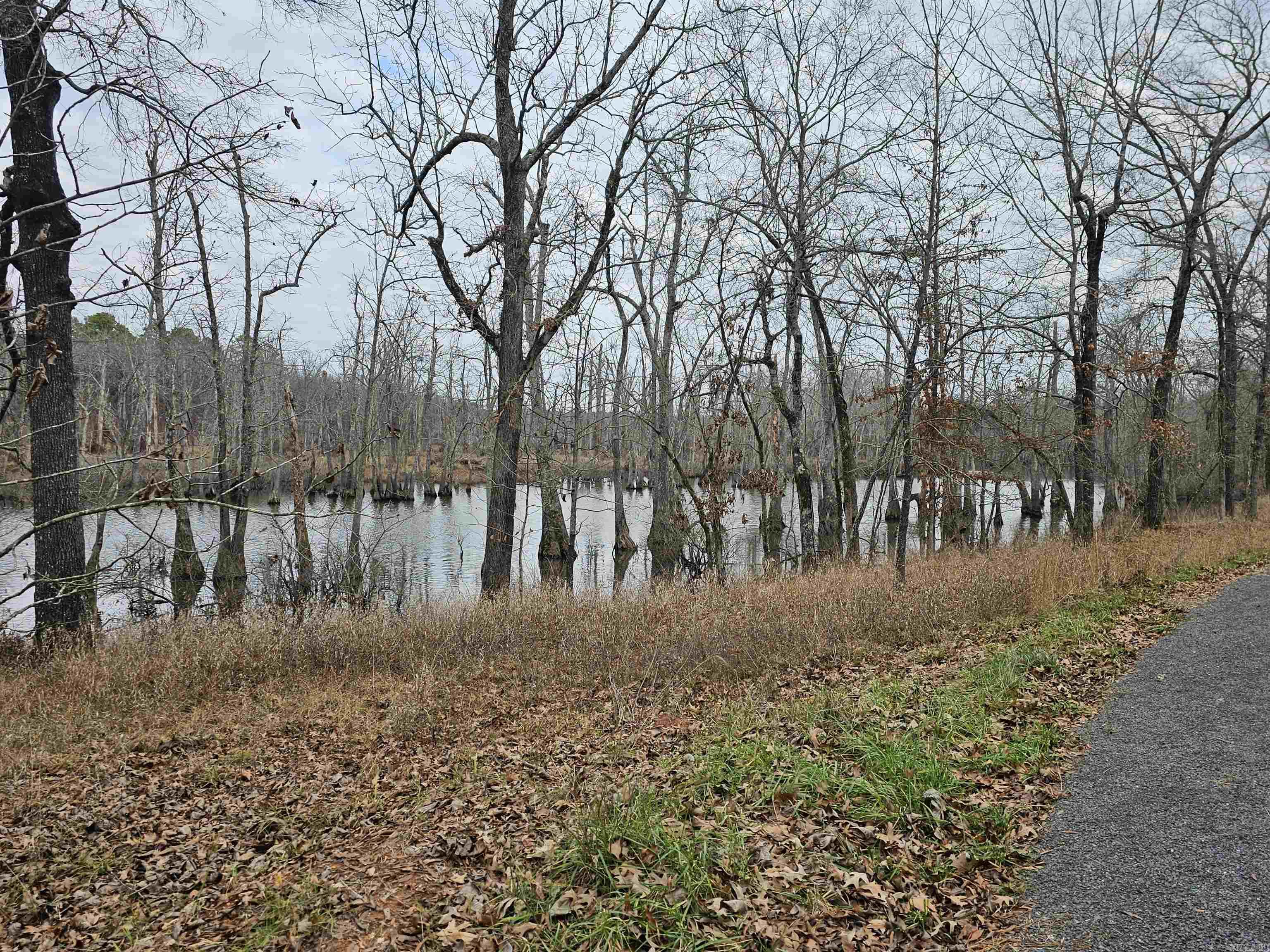 Lot 3 Devoe Bend Drive Property Photo 16