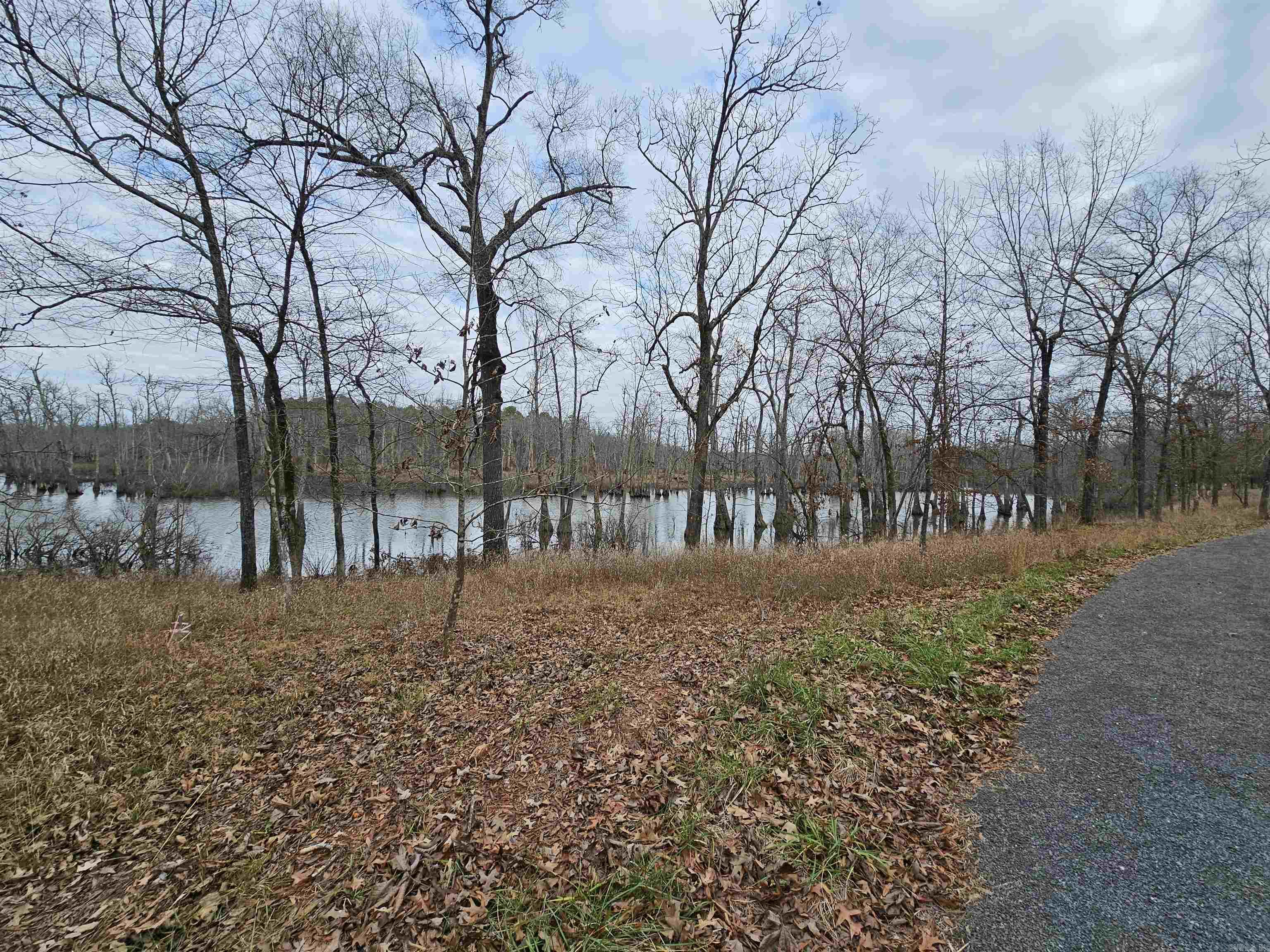 Lot 3 Devoe Bend Drive Property Photo 17