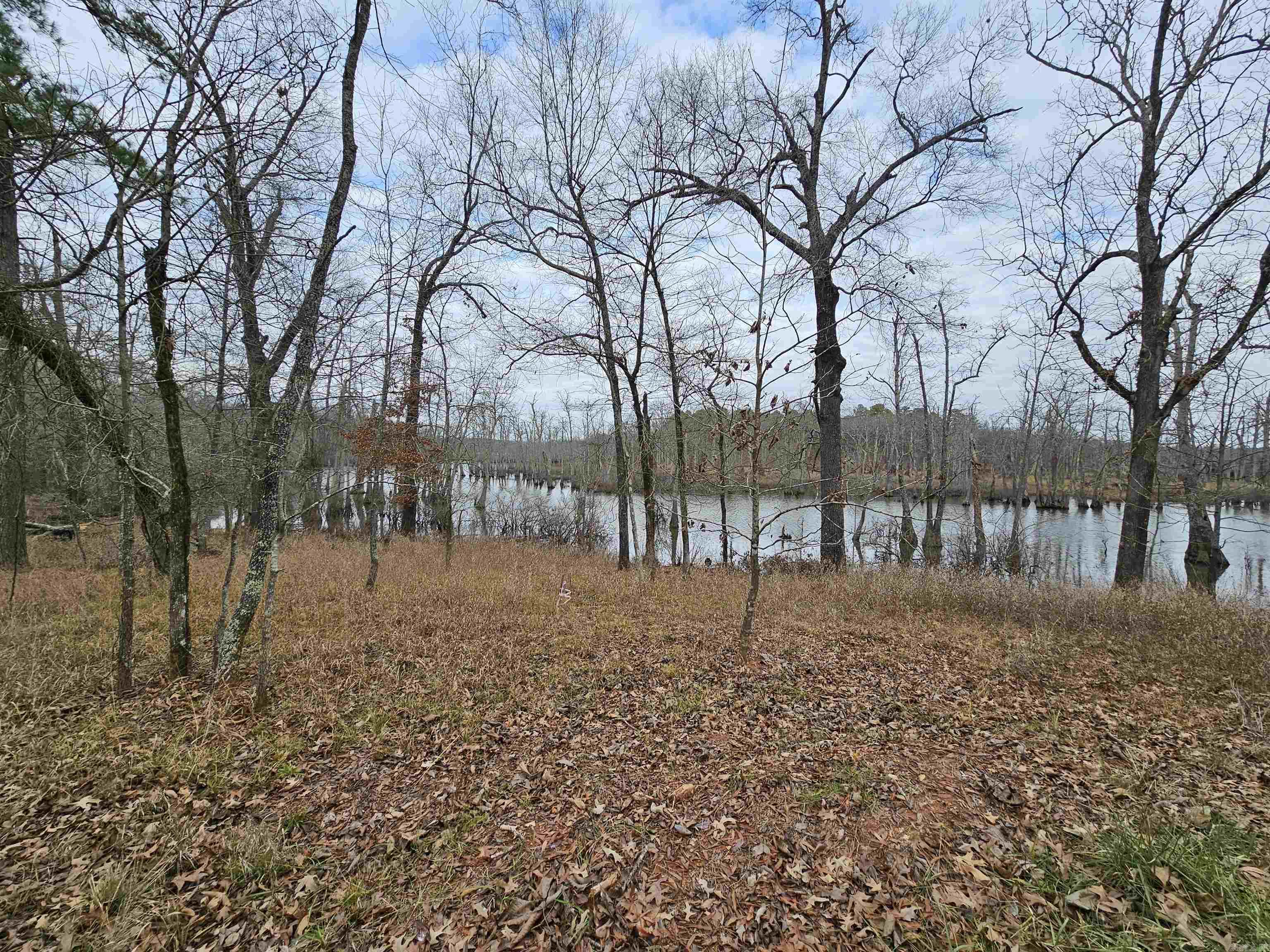Lot 3 Devoe Bend Drive Property Photo 18